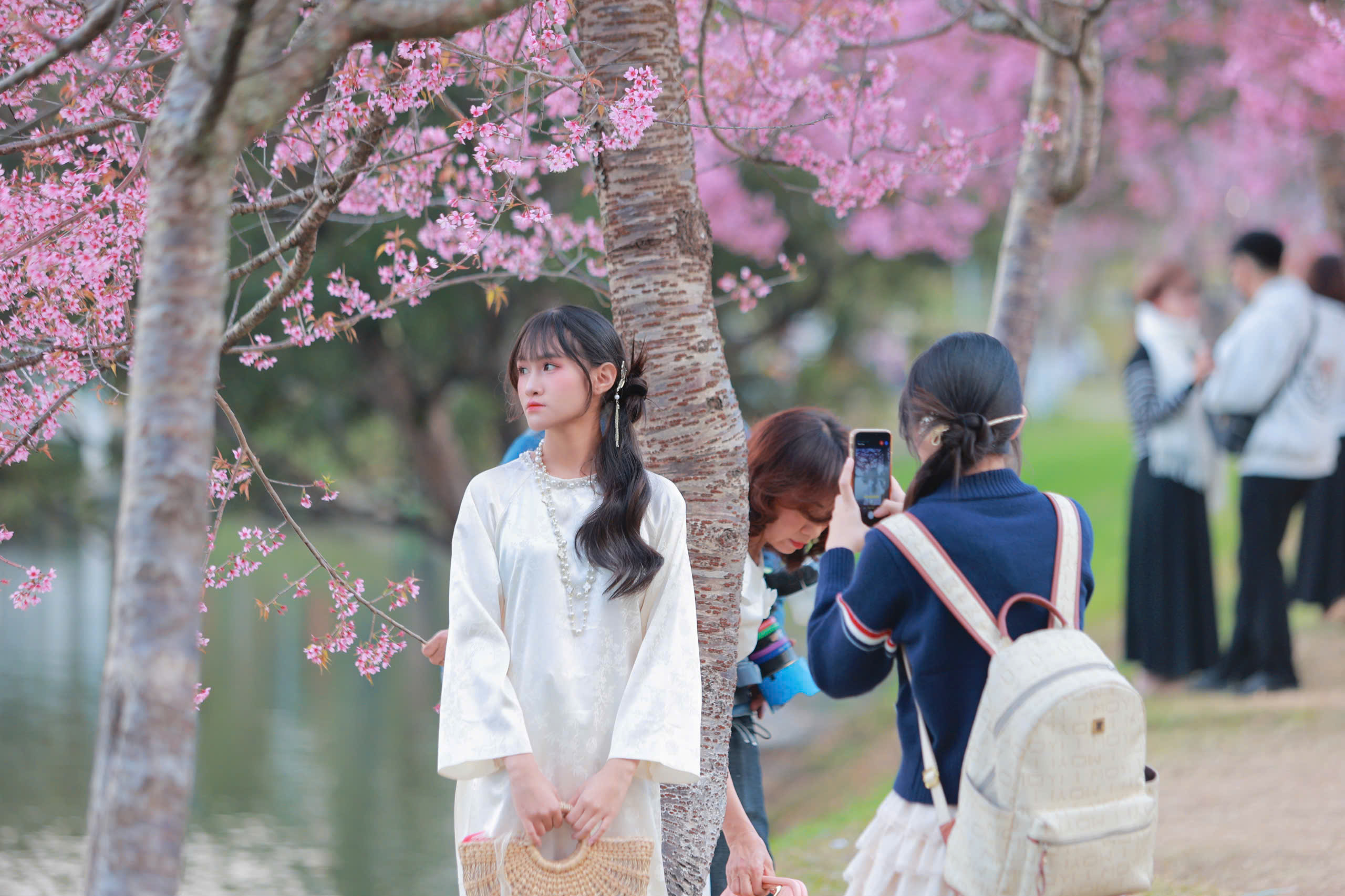 Bất ngờ mai anh đào nhuộm hồng Đà Lạt, du khách hào hứng check-in - Ảnh 9.