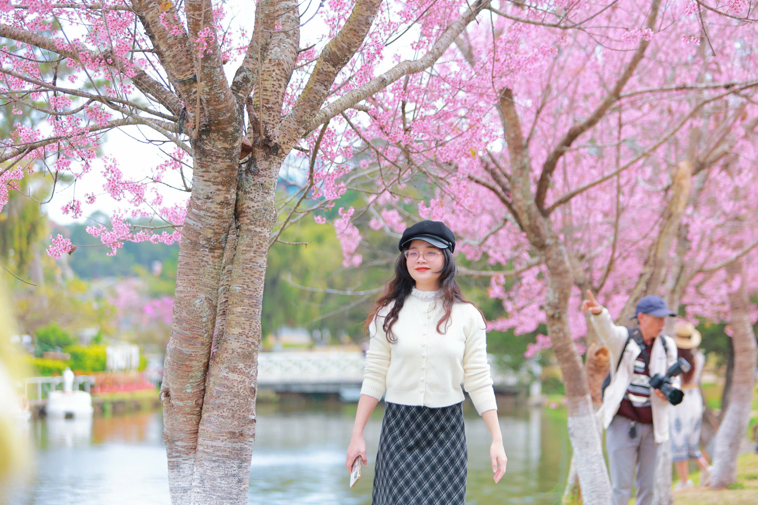 Bất ngờ mai anh đào nhuộm hồng Đà Lạt, du khách hào hứng check-in - Ảnh 8.