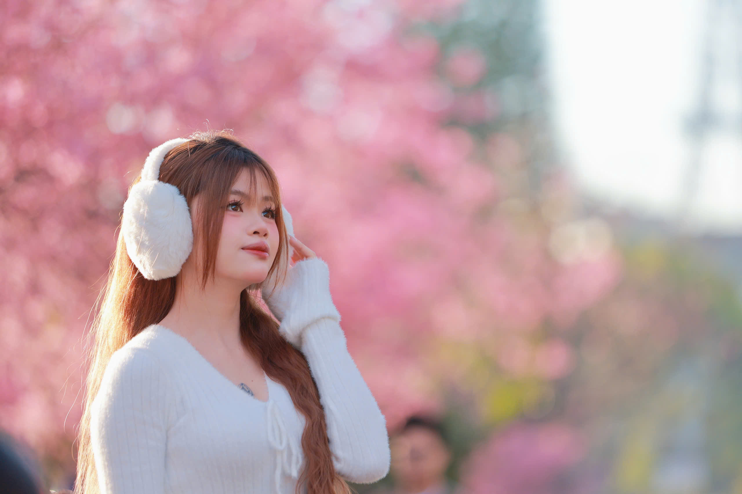 Bất ngờ mai anh đ&agrave;o nhuộm hồng Đ&agrave; Lạt, du kh&aacute;ch h&agrave;o hứng check-in - Ảnh 12.