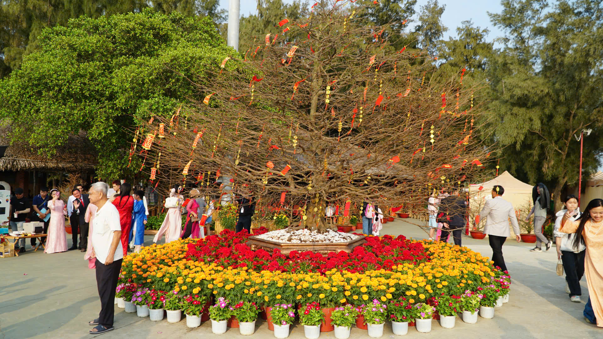 Tối nay, bầu trời Cần Giờ sẽ rực s&aacute;ng những m&agrave;n ph&aacute;o hoa chưa từng c&oacute;- Ảnh 3.