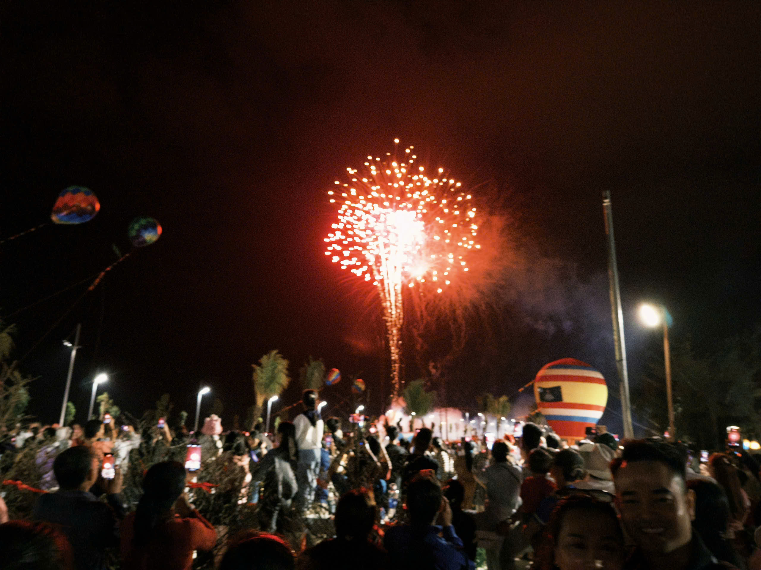 Hơn 1 vạn người đổ về Cần Giờ xem ph&aacute;o hoa xu&acirc;n sớm nhất nước - Ảnh 1.