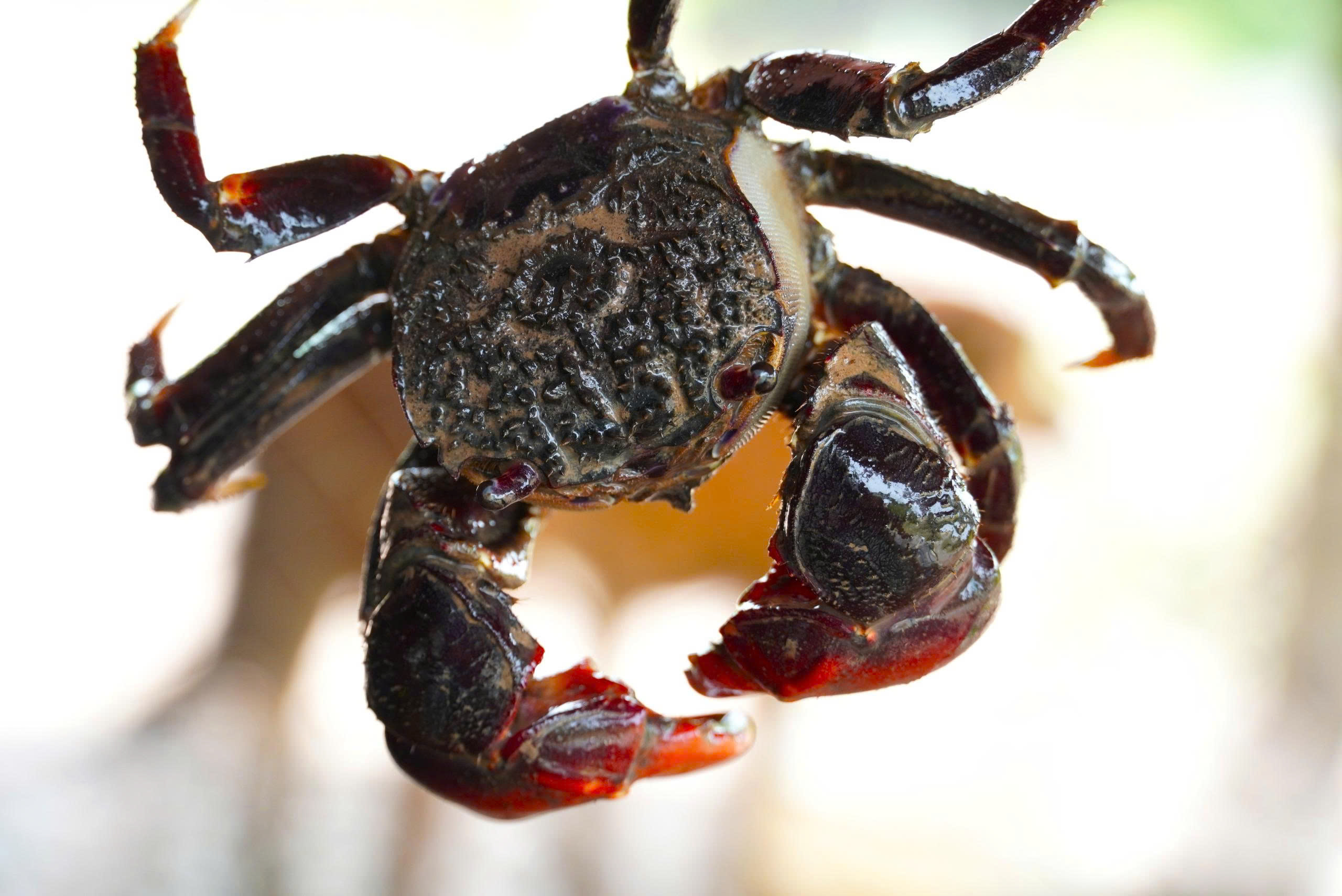 - Ảnh 3. - Ảnh 3.