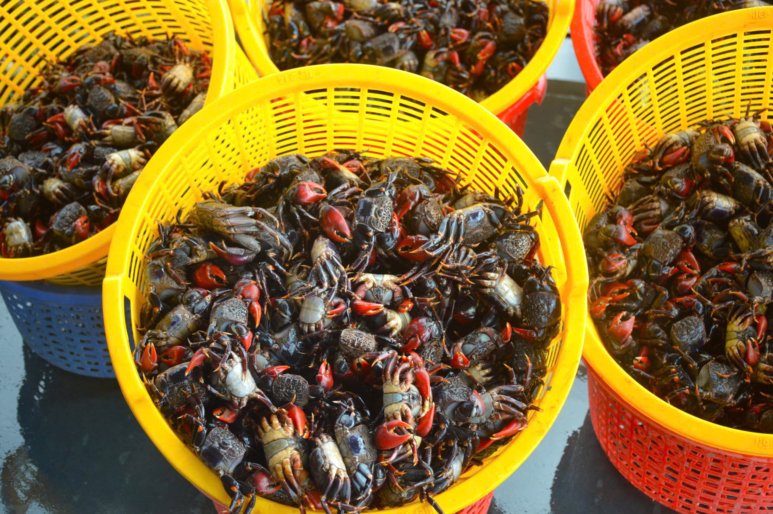 - Ảnh 9. - Ảnh 9.