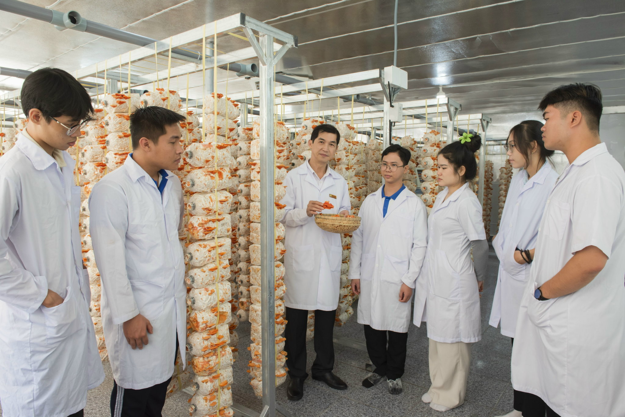 Thầy giáo miền Tây trồng nấm vân chi đỏ bằng quy trình cải tiến tích hợp IoT- Ảnh 1.