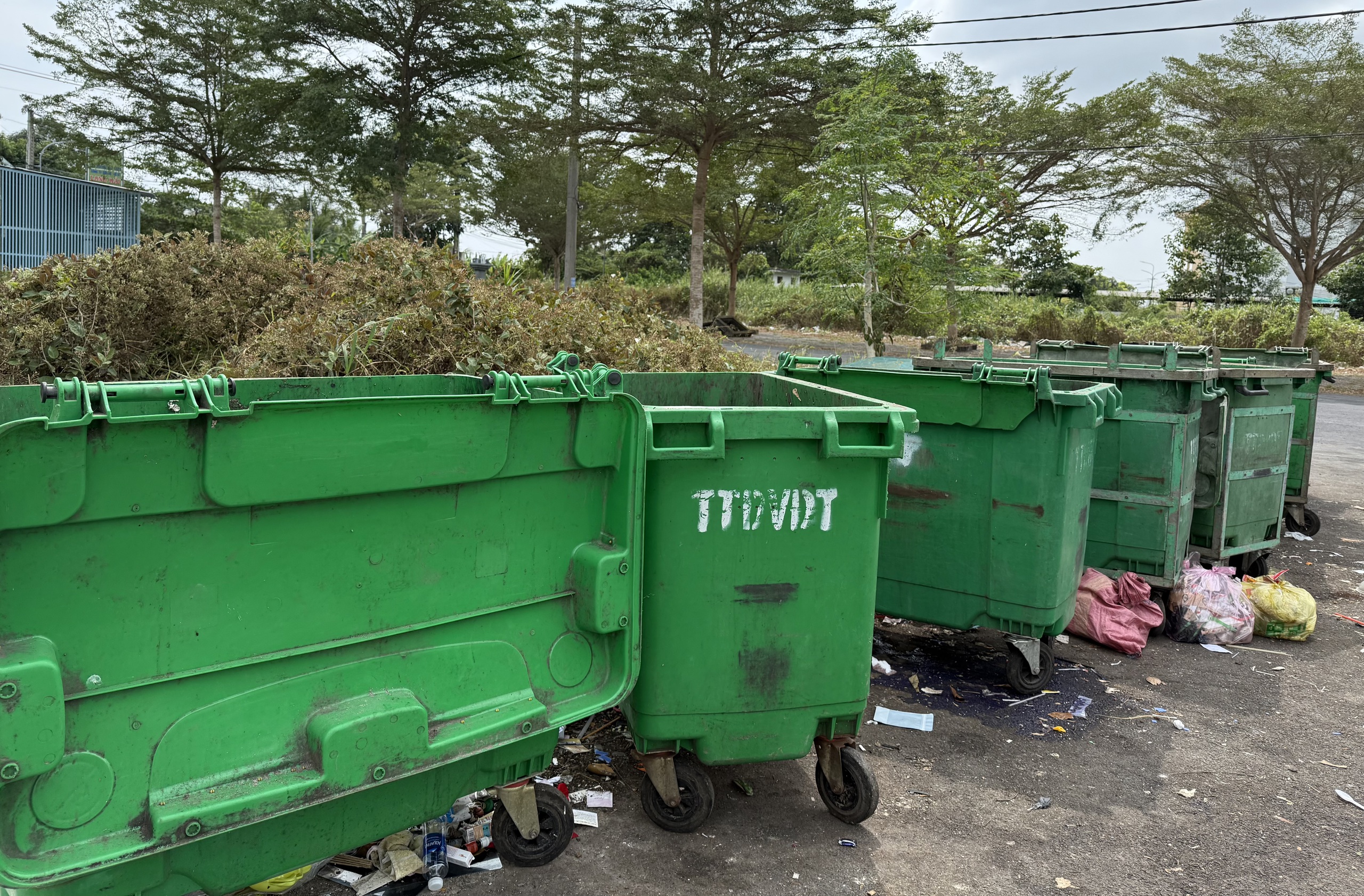 3 phường ở Cà Mau ngưng gom rác thải 3 ngày tết: Có lo ứ rác, ô nhiễm? - Ảnh 1.