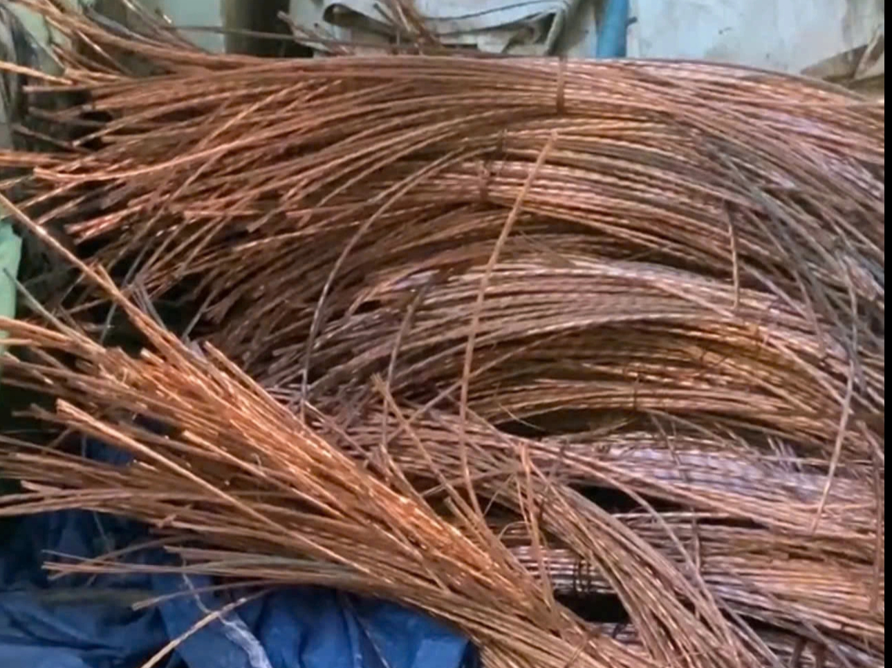 Gia Lai: Bắt nhóm cắt trộm dây cáp điện ở Tam Quan - Ảnh 1.