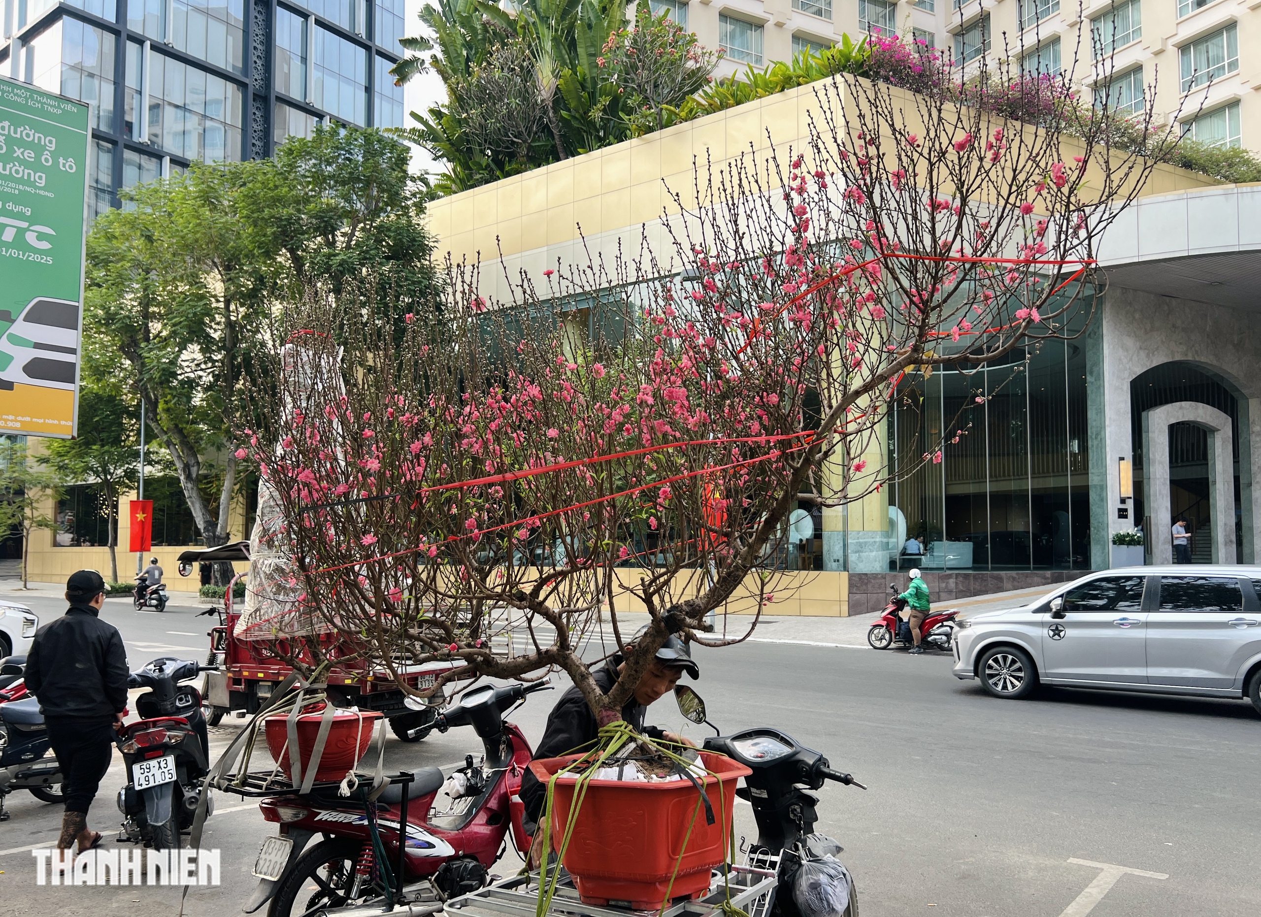 Chợ hoa tết ở tp.Hcm: Hoa đ&agrave;o quyến rũ chờ đ&oacute;n Bạn - Ảnh 3.