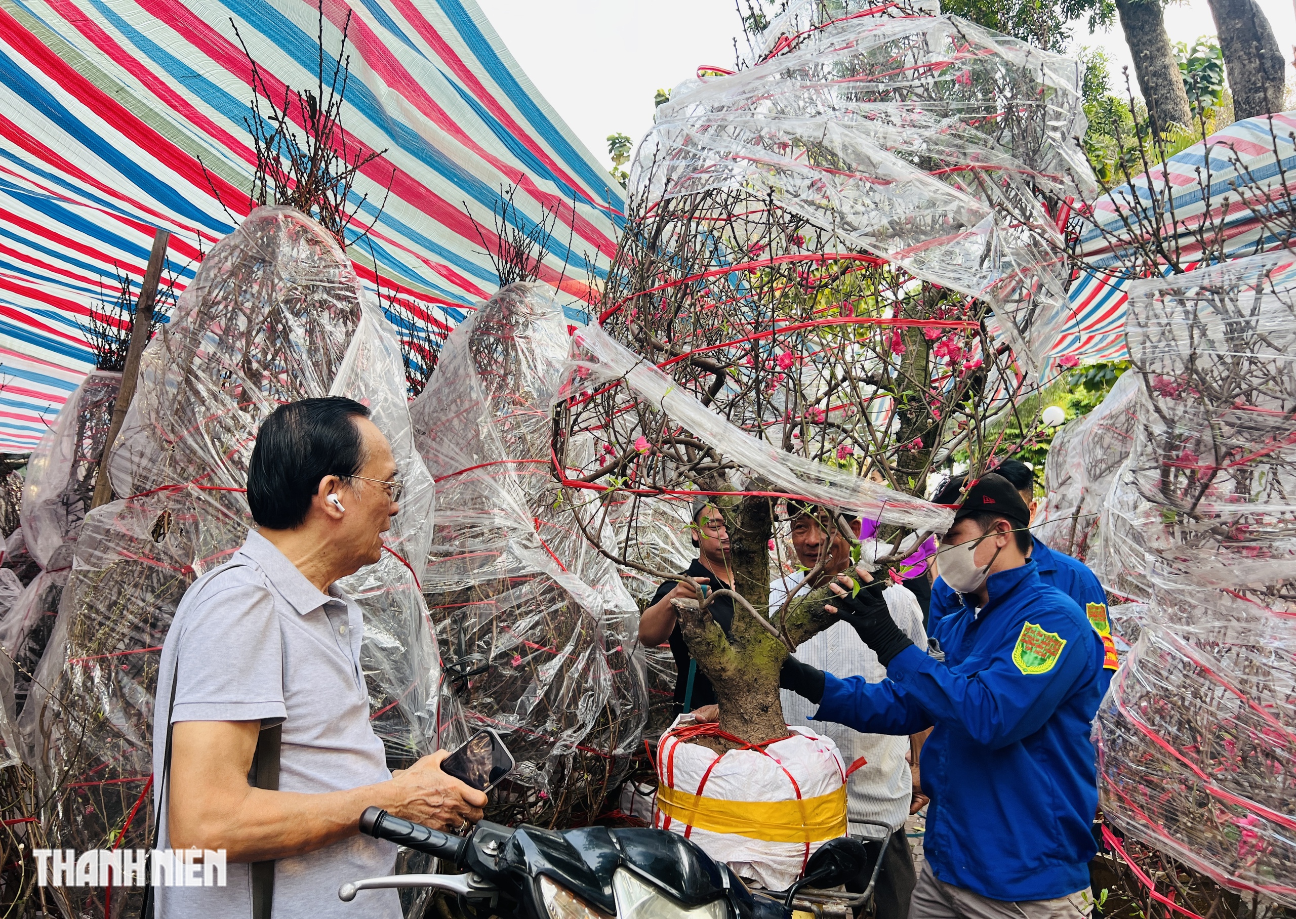 Chợ hoa tết ở tp.Hcm: Hoa đ&agrave;o quyến rũ chờ đ&oacute;n Bạn - Ảnh 2.