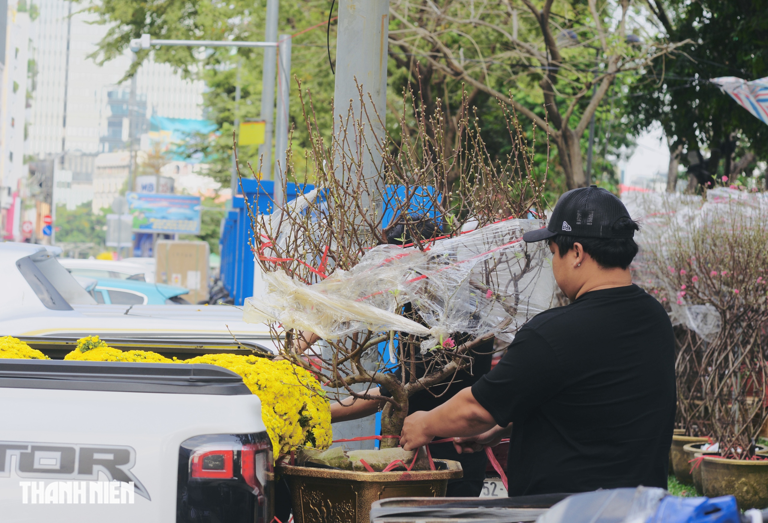 Chợ hoa tết ở tp.Hcm: Hoa đ&agrave;o quyến rũ chờ đ&oacute;n Bạn - Ảnh 4.