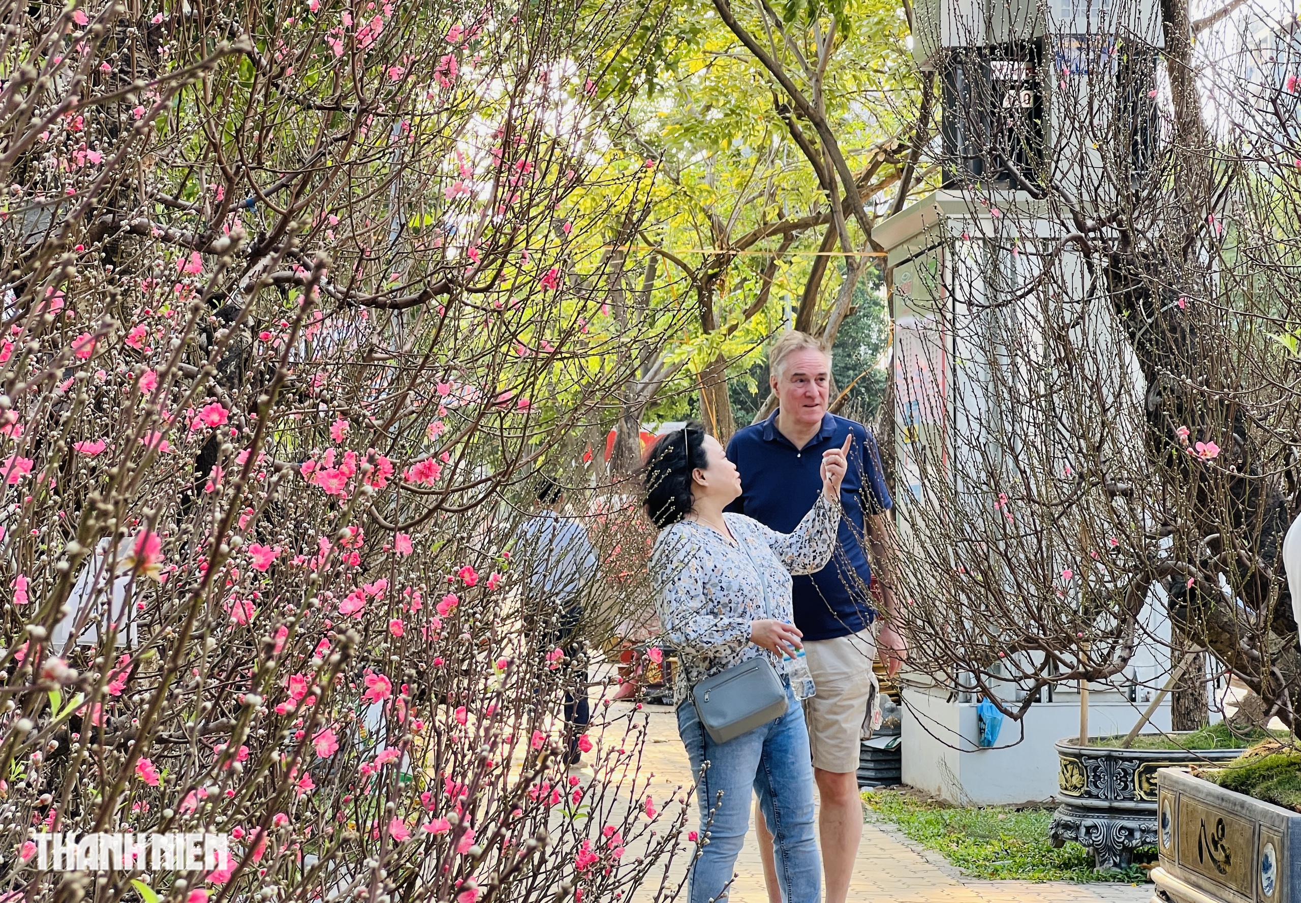 Chợ hoa tết ở tp.Hcm: Hoa đ&agrave;o quyến rũ chờ đ&oacute;n Bạn - Ảnh 10.