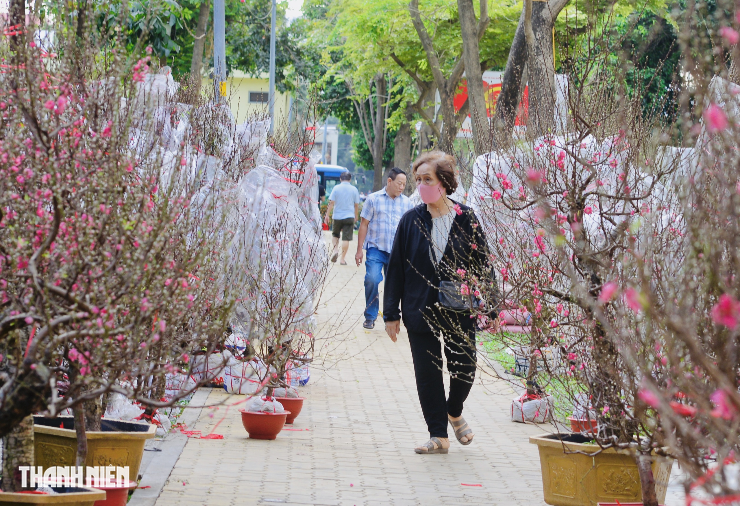 Chợ hoa tết ở tp.Hcm: Hoa đ&agrave;o quyến rũ chờ đ&oacute;n Bạn - Ảnh 1.