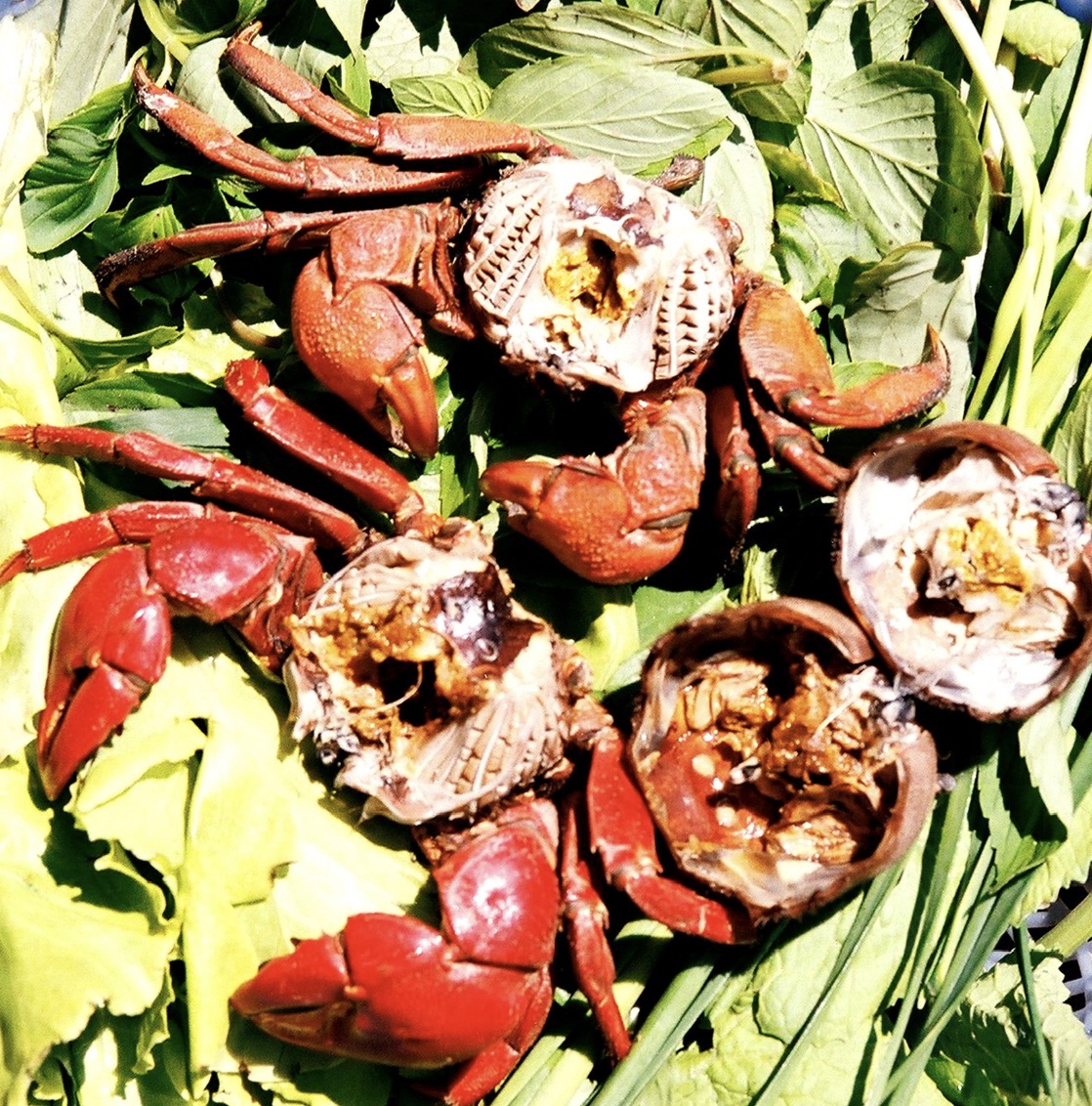 - Ảnh 7. - Ảnh 7.