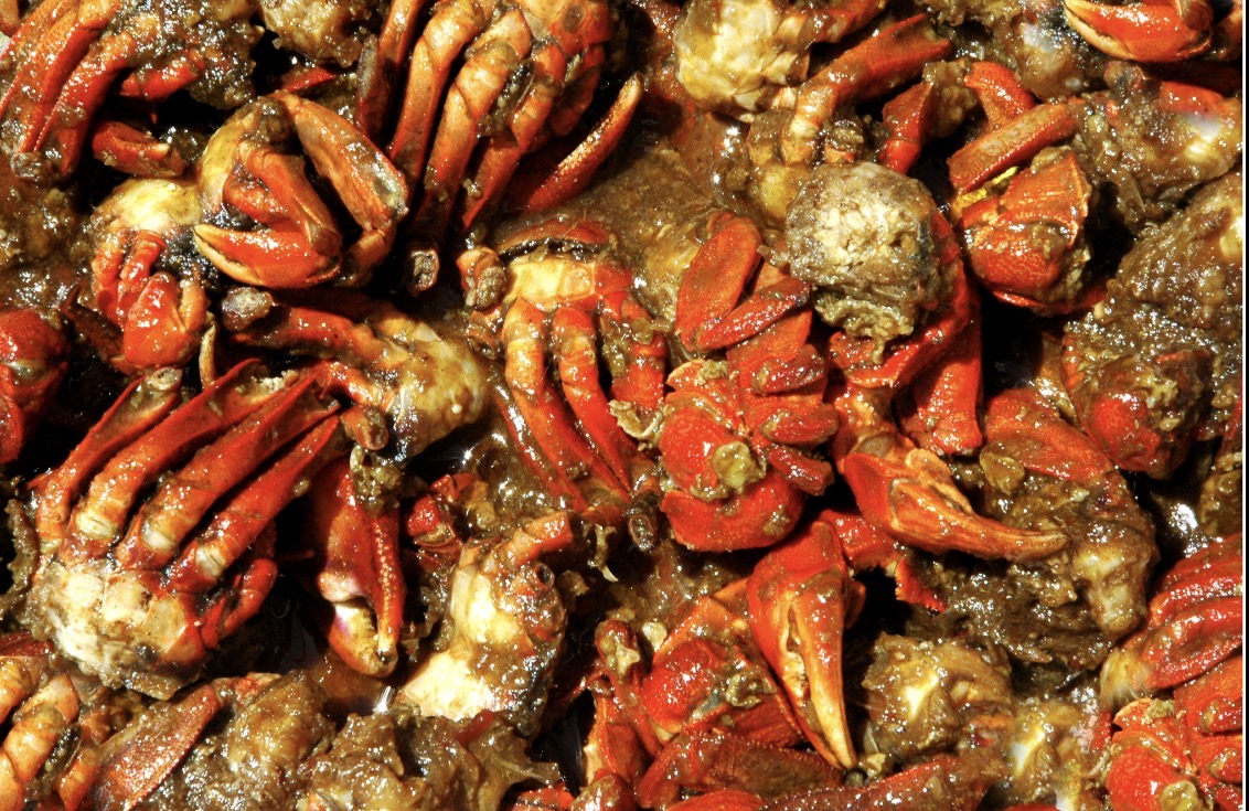 - Ảnh 6. - Ảnh 6.