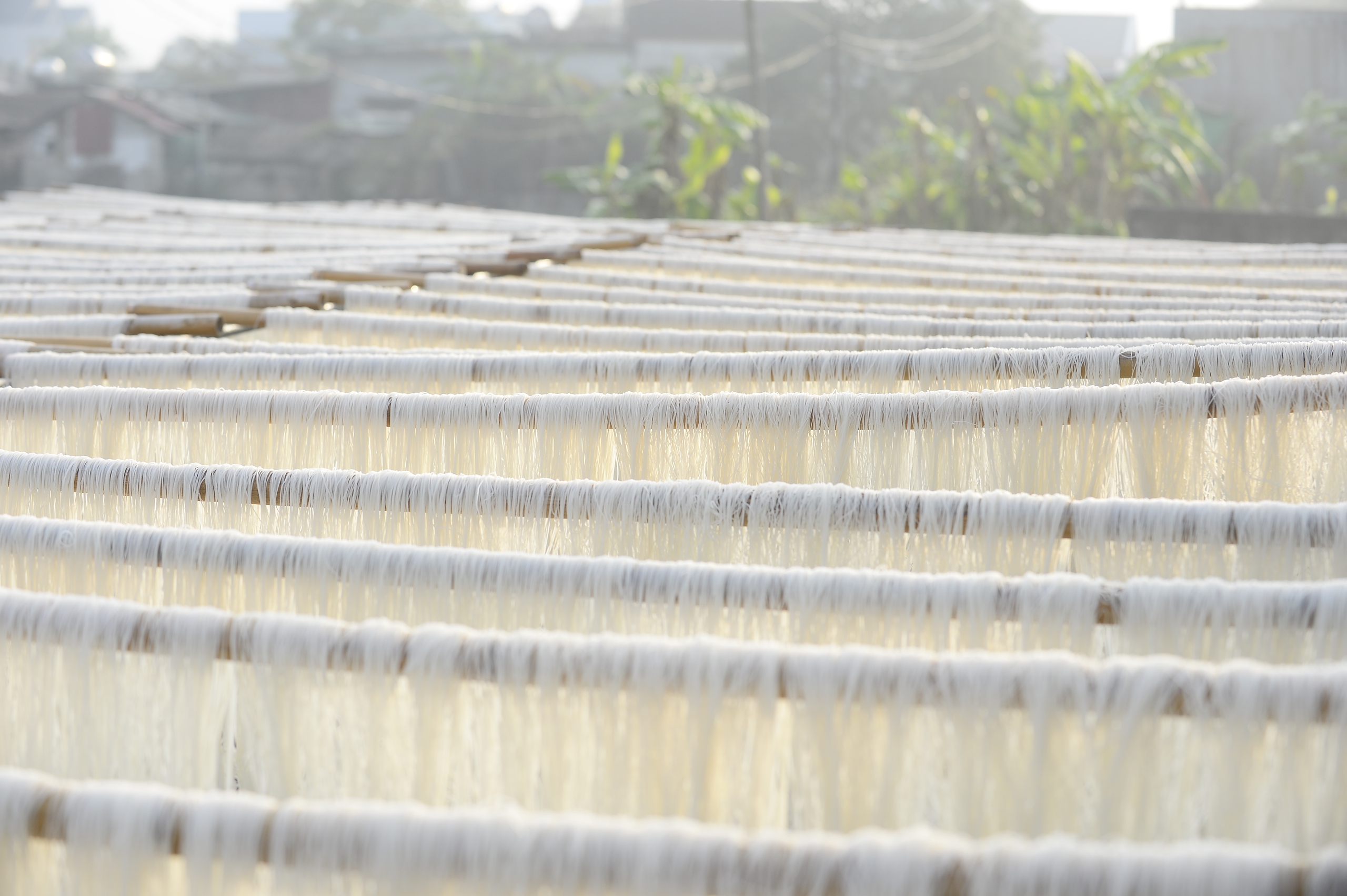 Cuộc sống ấm no, hạnh ph&uacute;c nhờ l&agrave;m miến gạo- Ảnh 7.