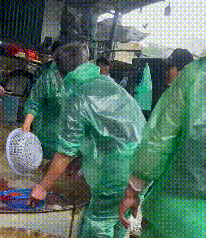 Gi&aacute; c&aacute; ch&eacute;p đỏ giảm s&acirc;u, l&aacute;i bu&ocirc;n đổ c&aacute; kh&aacute;ch chọn lại chậu, quyết kh&ocirc;ng b&aacute;n rẻ- Ảnh 6.