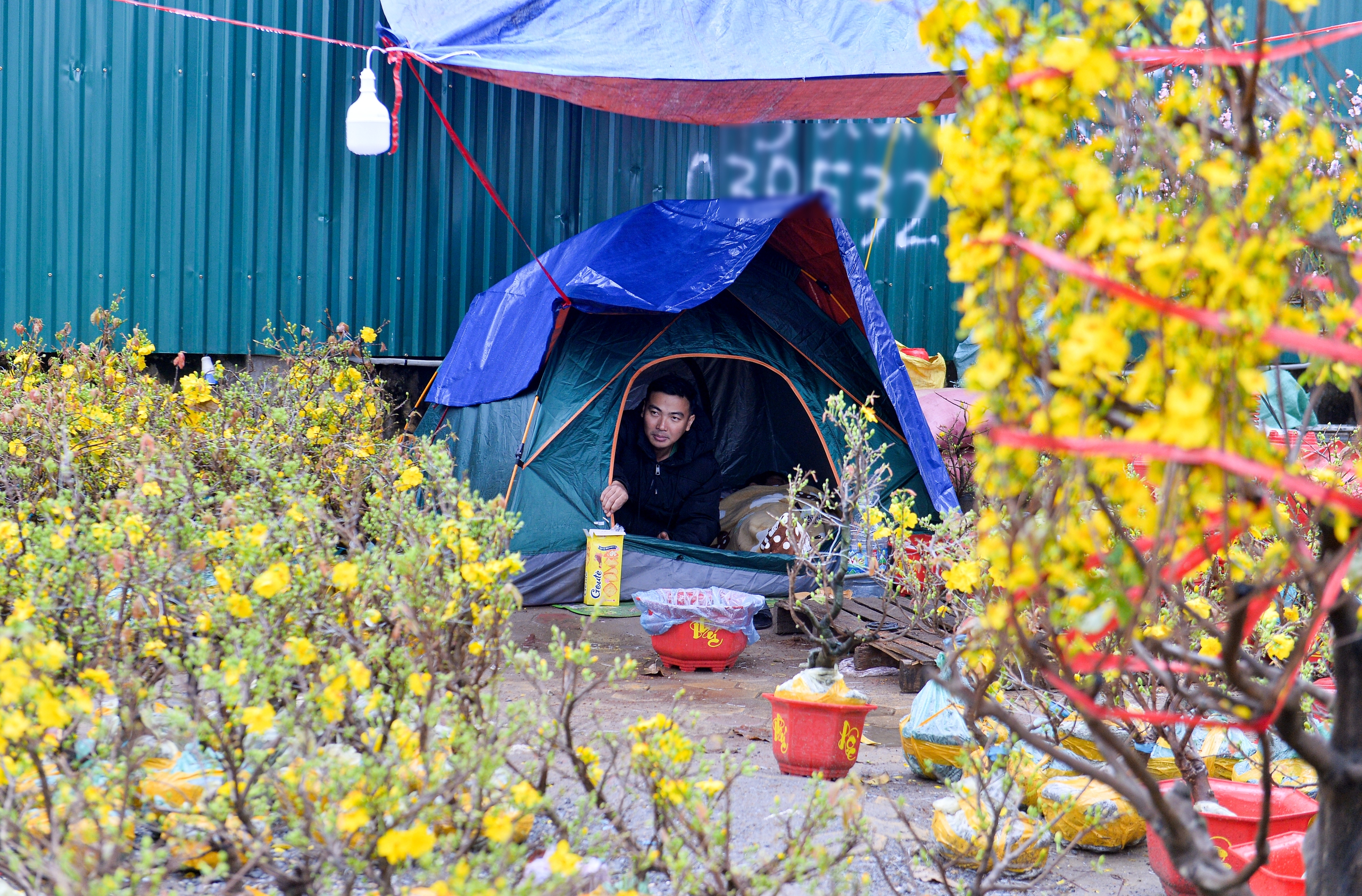 Đào, quất tết ế ẩm, tiểu thương đỏ mắt mong 'trời đừng mưa nữa' - Ảnh 4.