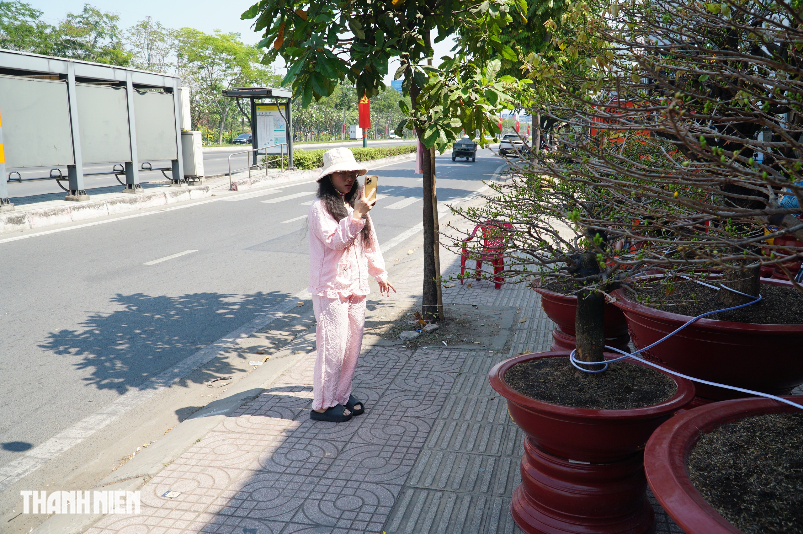 Bán mai tết bằng livestream: Nhà vườn ở đường Phạm Văn Đồng ‘lên sóng’ chốt đơn - Ảnh 3.