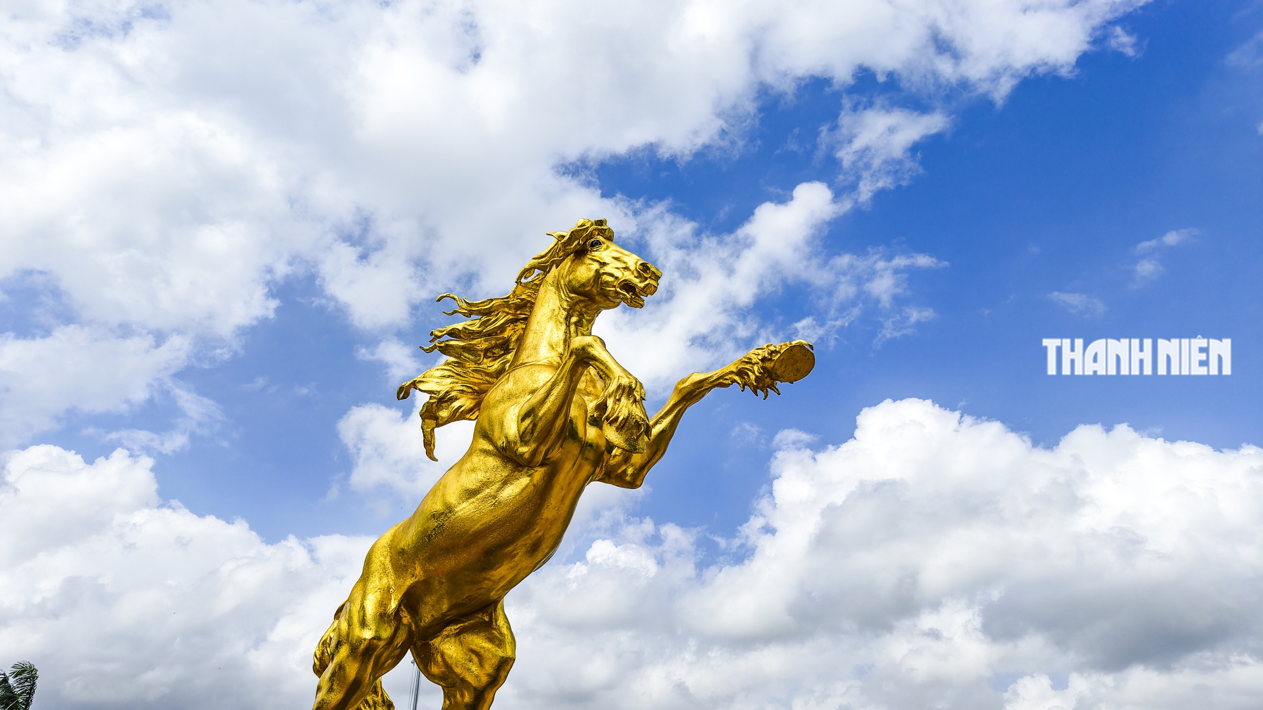 Ngựa v&agrave;ng Quảng Ng&atilde;i cao 10 m 'c&oacute; hồn' ở c&ocirc;ng vi&ecirc;n Ba Tơ- Ảnh 7.