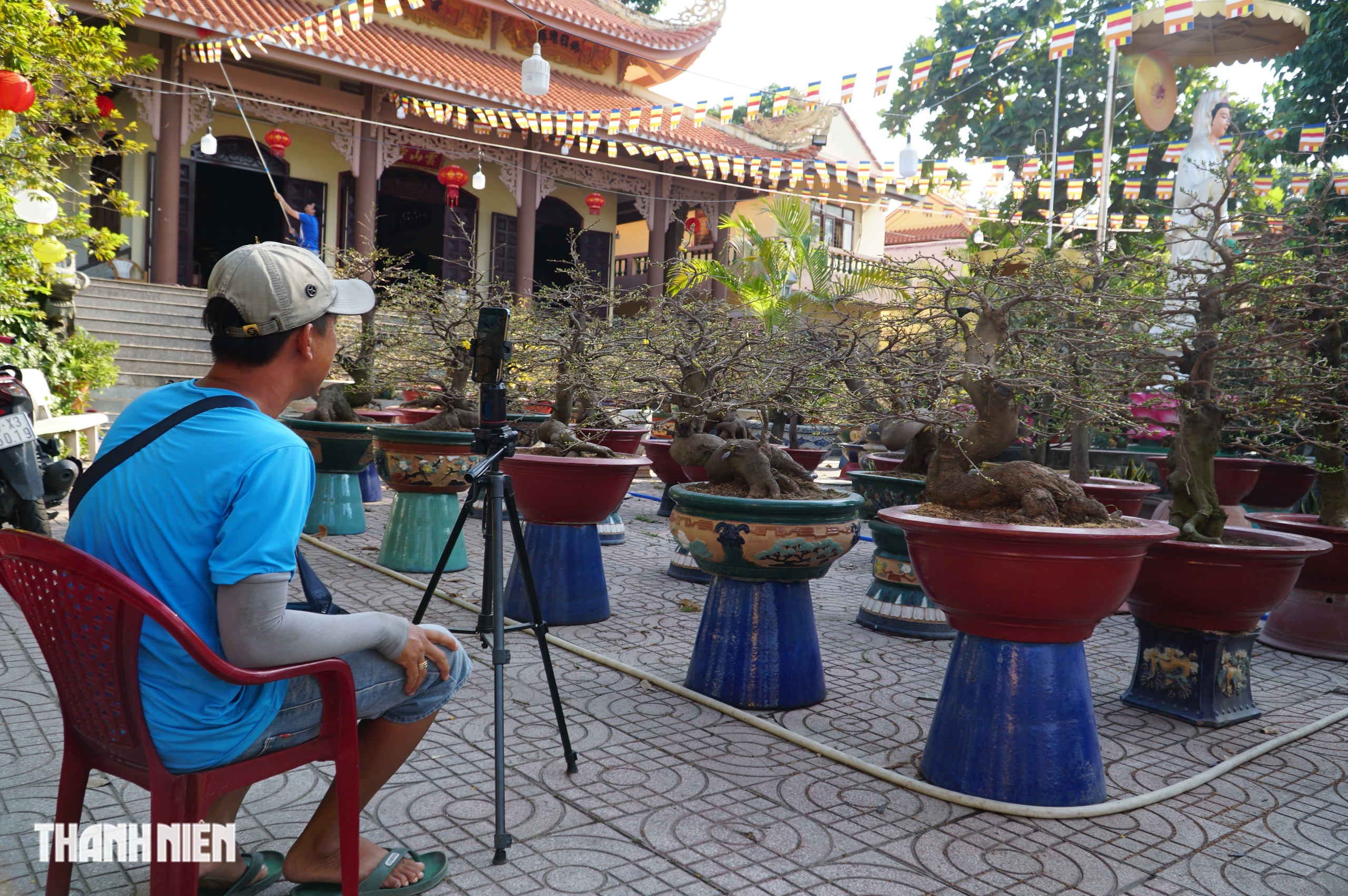 Bán mai tết bằng livestream: Nhà vườn ở đường Phạm Văn Đồng ‘lên sóng’ chốt đơn - Ảnh 1.