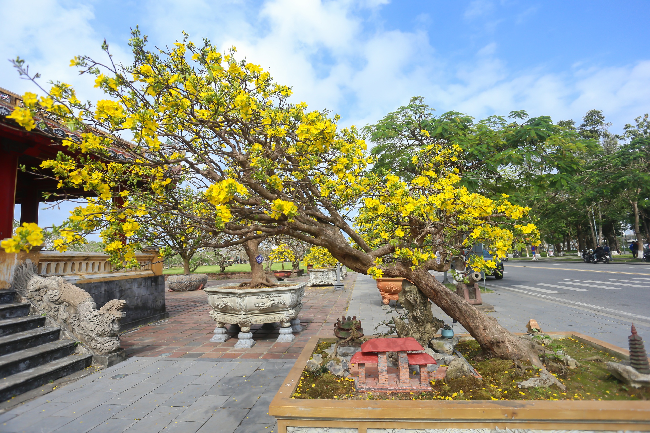 Chi&ecirc;m ngưỡng những 'si&ecirc;u' ho&agrave;ng mai tiền tỉ ở Huế trước Phu Văn L&acirc;u- Ảnh 10.