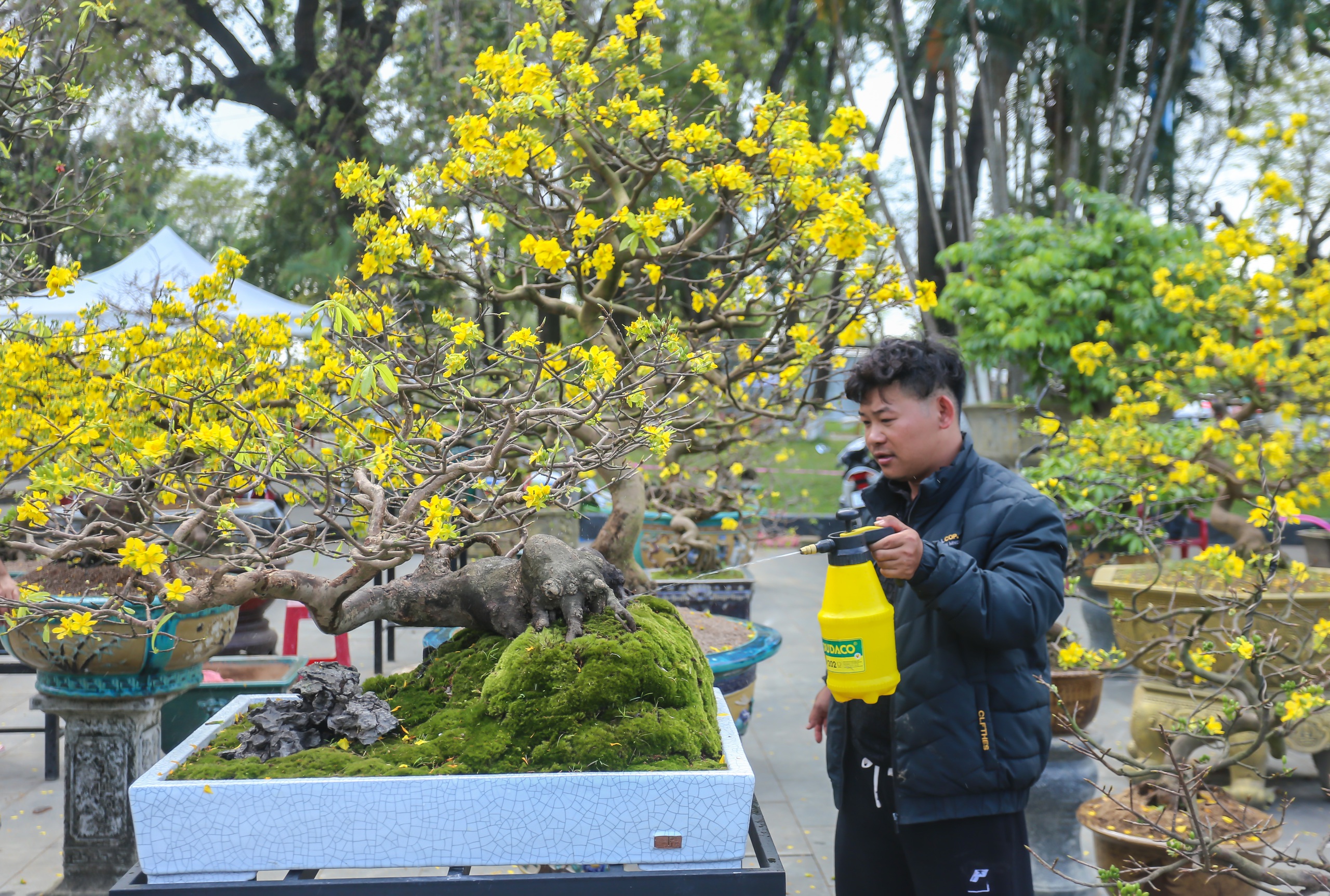 Chi&ecirc;m ngưỡng những 'si&ecirc;u' ho&agrave;ng mai tiền tỉ ở Huế trước Phu Văn L&acirc;u- Ảnh 11.