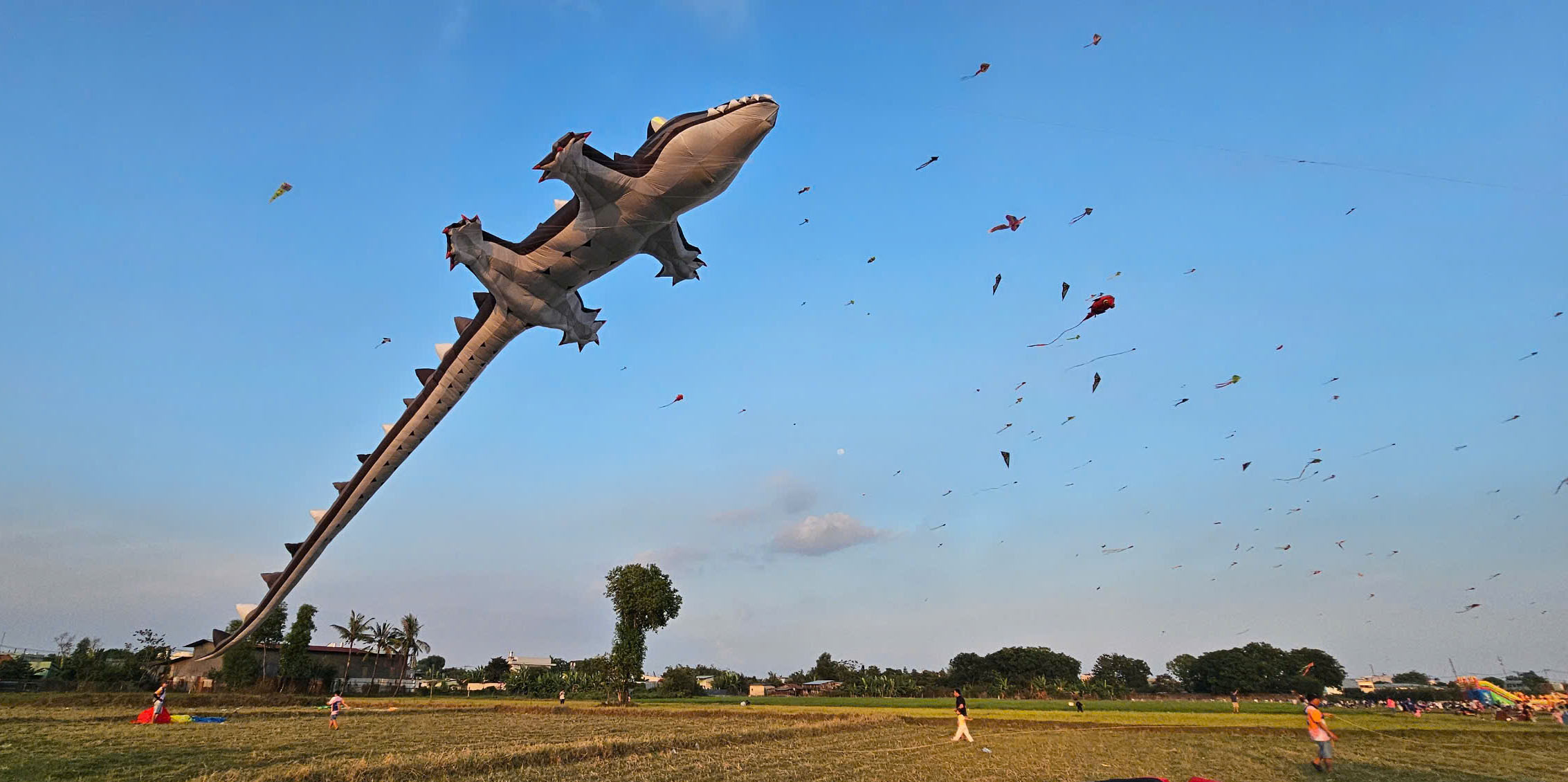 C&aacute;nh đồng diều B&agrave; Canh: Điểm vui chơi rực rỡ sắc m&agrave;u cho trẻ nhỏ cuối tuần - Ảnh 1.