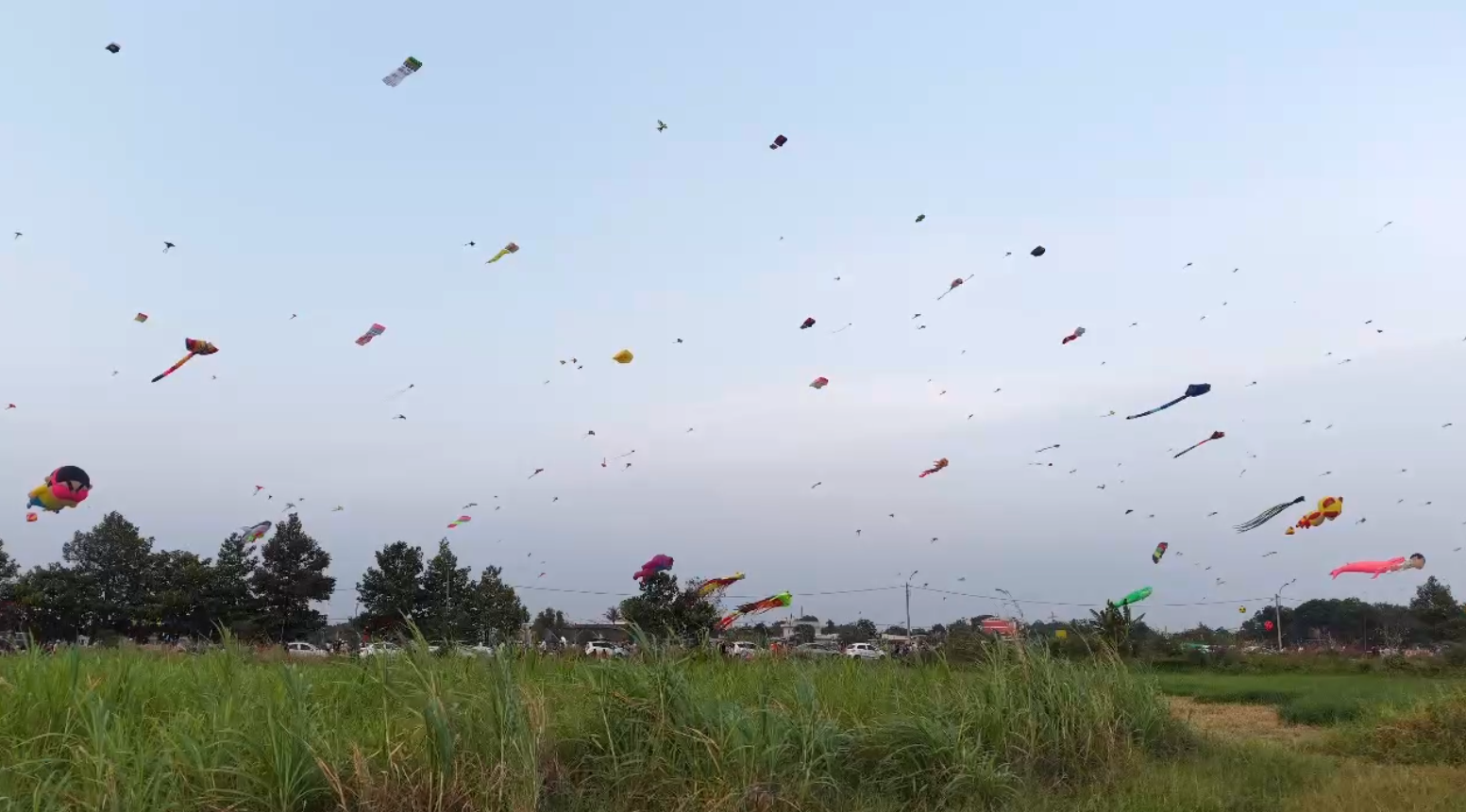 C&aacute;nh đồng diều B&agrave; Canh: Điểm vui chơi rực rỡ sắc m&agrave;u cho trẻ nhỏ cuối tuần - Ảnh 9.