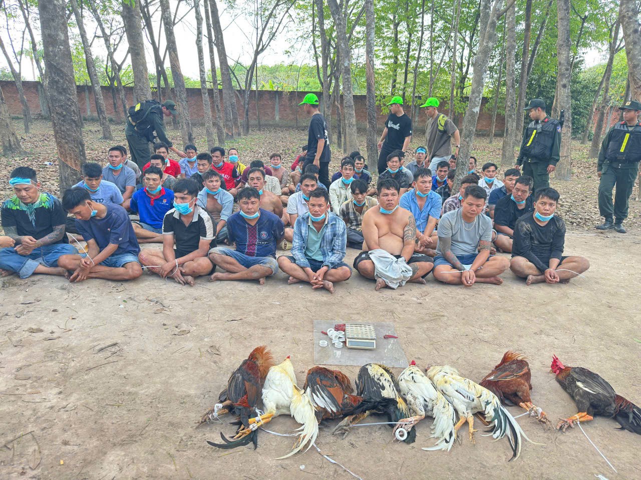 TP.HCM: Hàng trăm cảnh sát vây ráp, bắt giữ hơn 80 người đá gà, đánh bài - Ảnh 1.