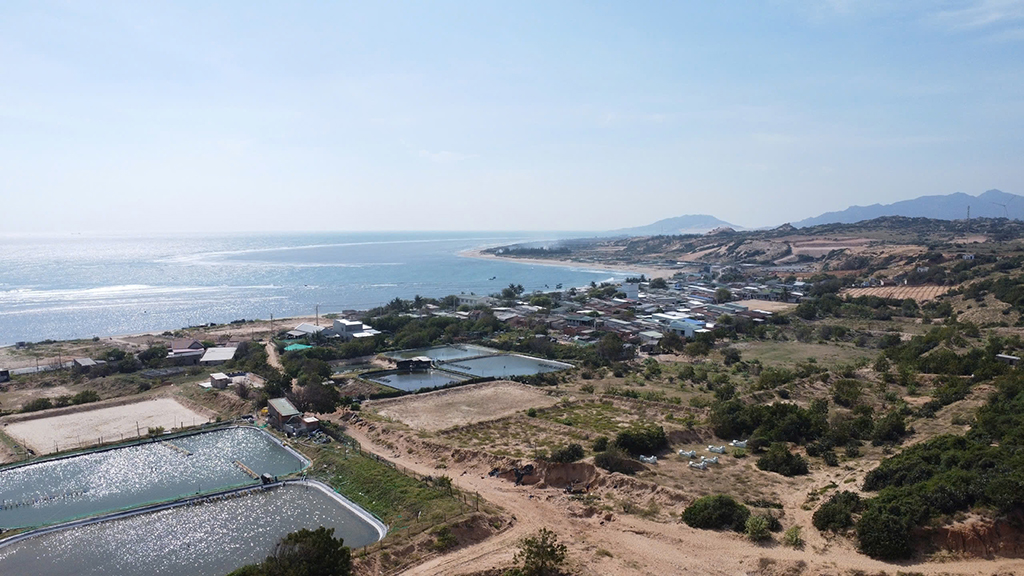 Kiến nghị chính sách hỗ trợ đặc thù cho dự án điện hạt nhân- Ảnh 1.