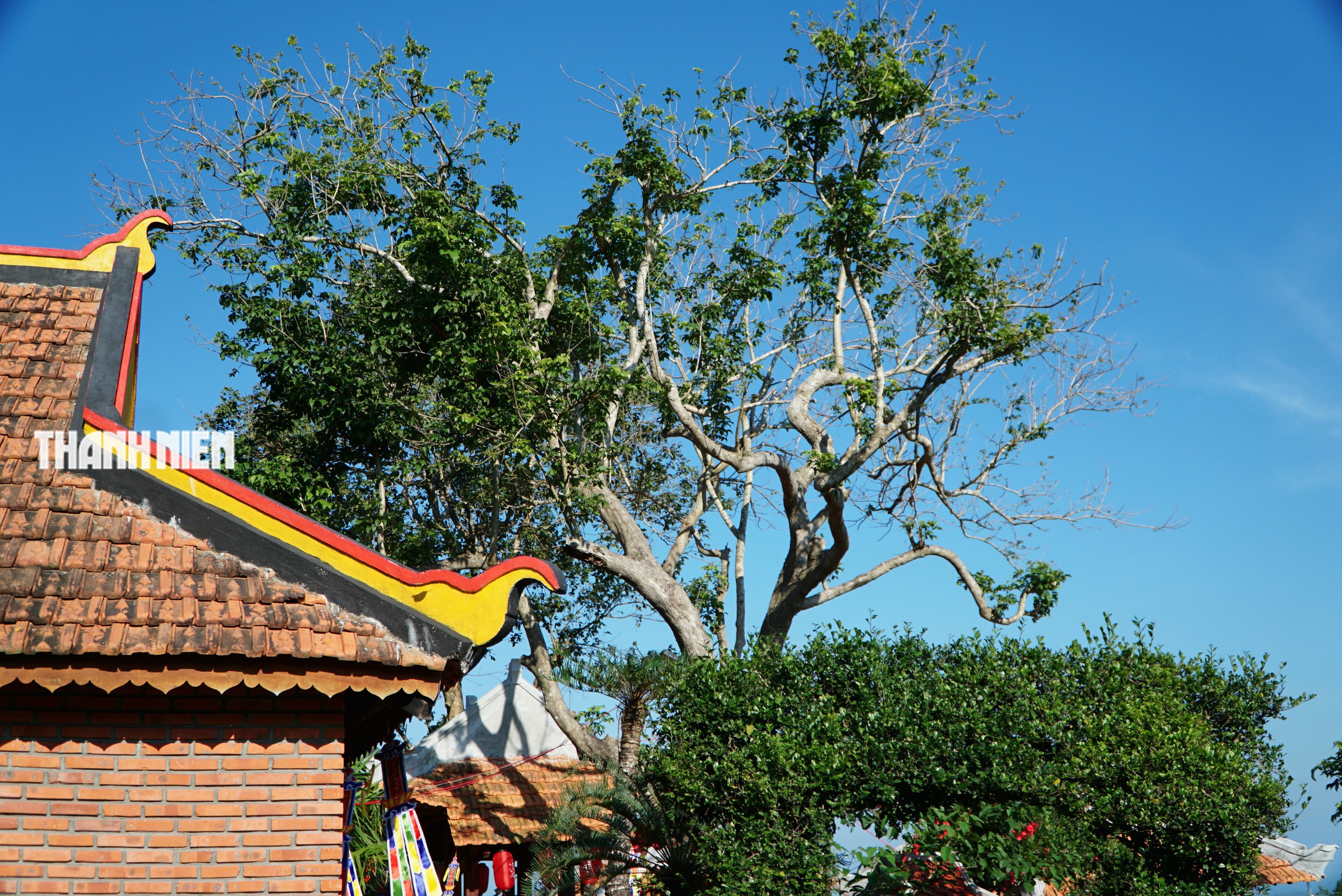 Kh&aacute;m ph&aacute; ch&ugrave;a Xu&acirc;n Quang gần 200 năm giữa ruộng bậc thang độc đ&aacute;o ở Đắk Lắk - Ảnh 6.