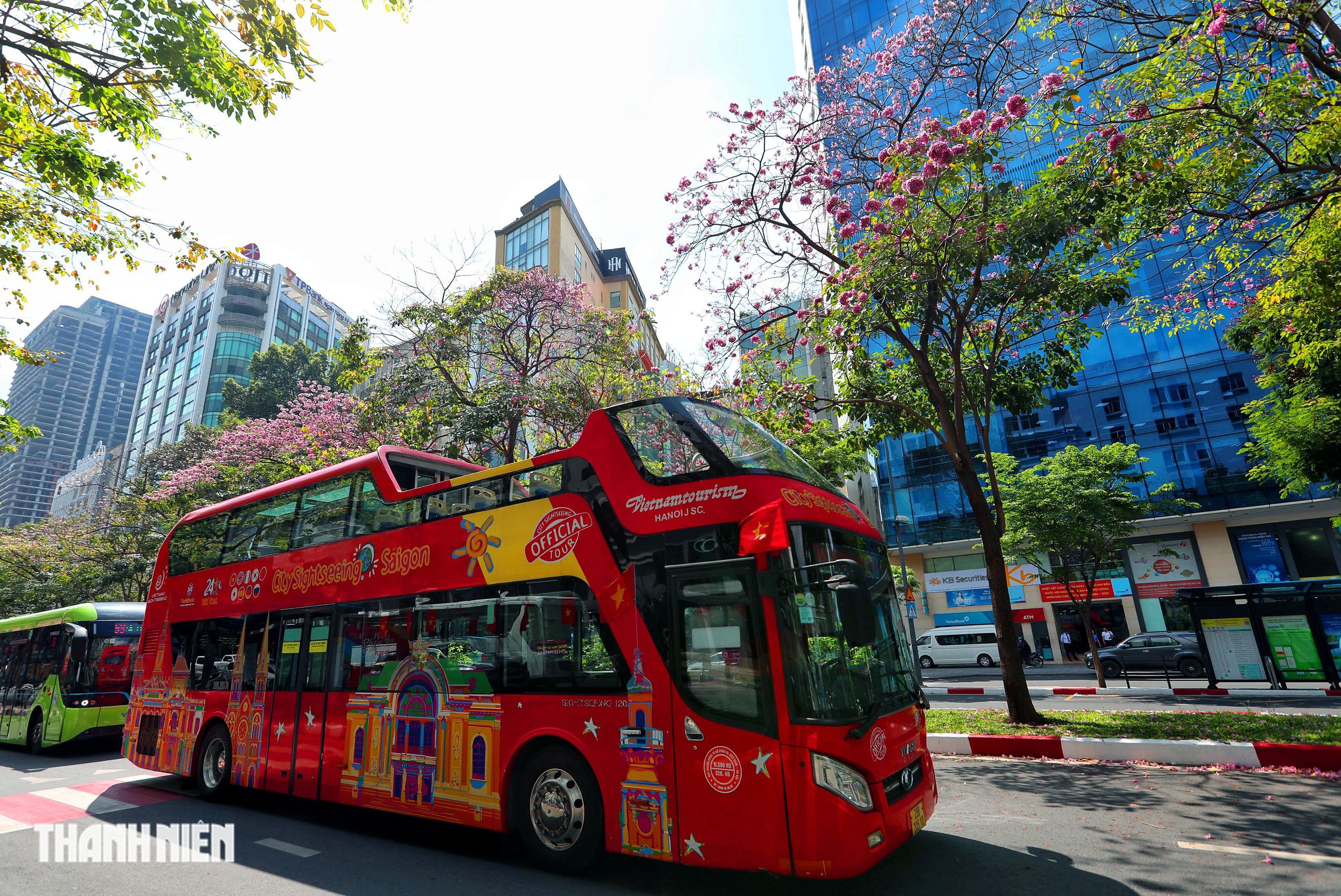 Hoa k&egrave;n hồng nở rộ giữa trung t&acirc;m TP.HCM, nhuộm hồng đường H&agrave;m Nghi - Ảnh 4.