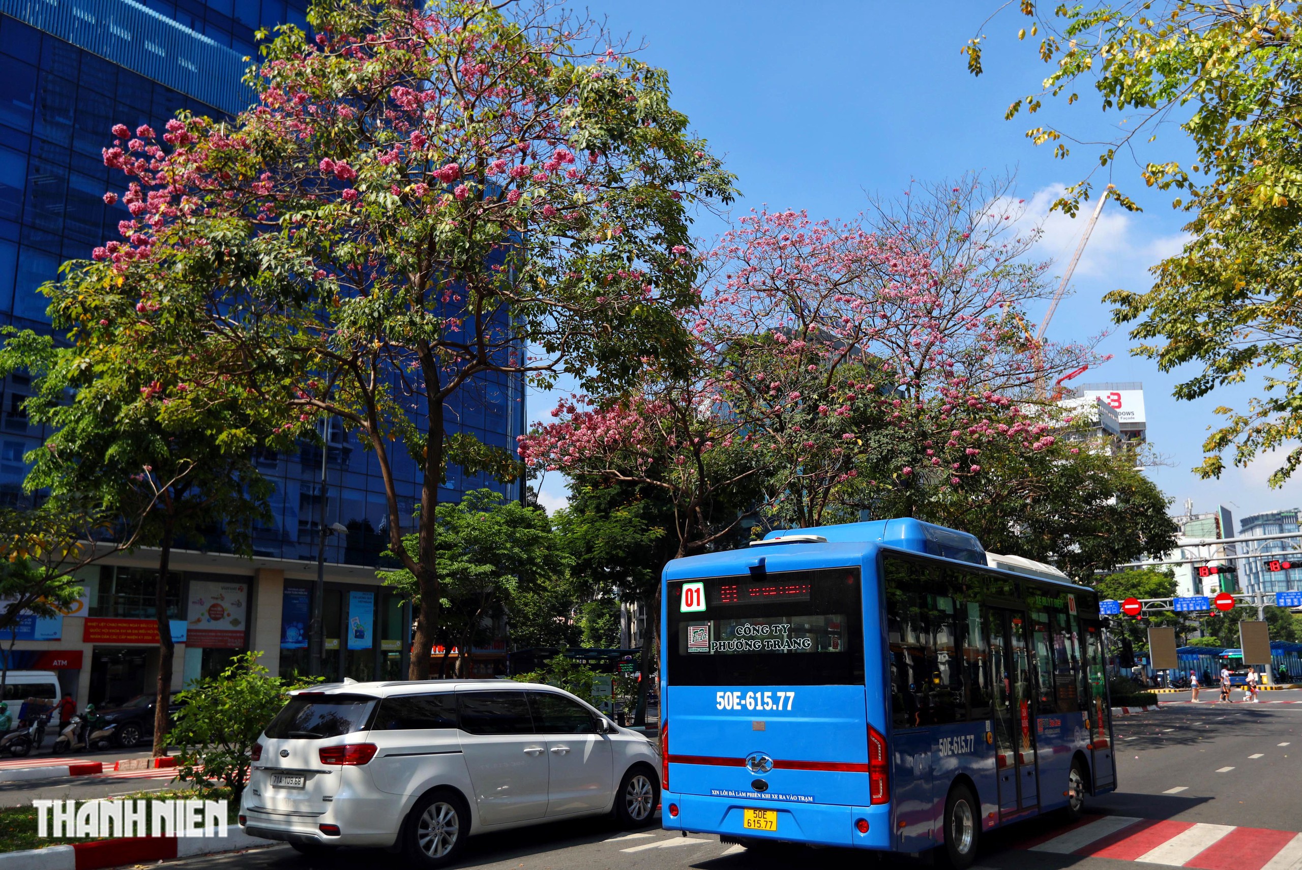 Hoa k&egrave;n hồng nở rộ giữa trung t&acirc;m TP.HCM, nhuộm hồng đường H&agrave;m Nghi - Ảnh 17.