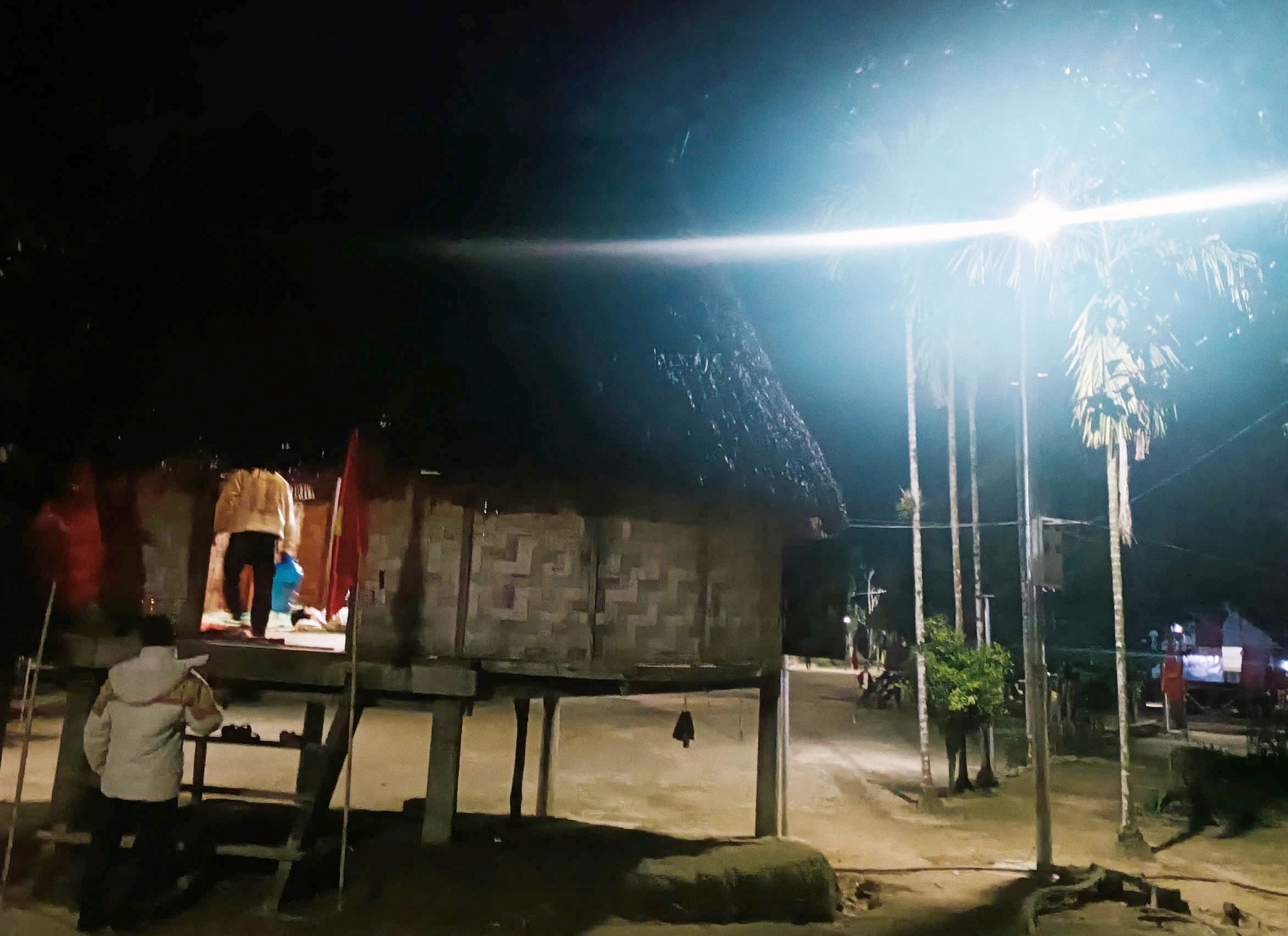 Aur bừng sáng giữa đại ngàn- Ảnh 4.