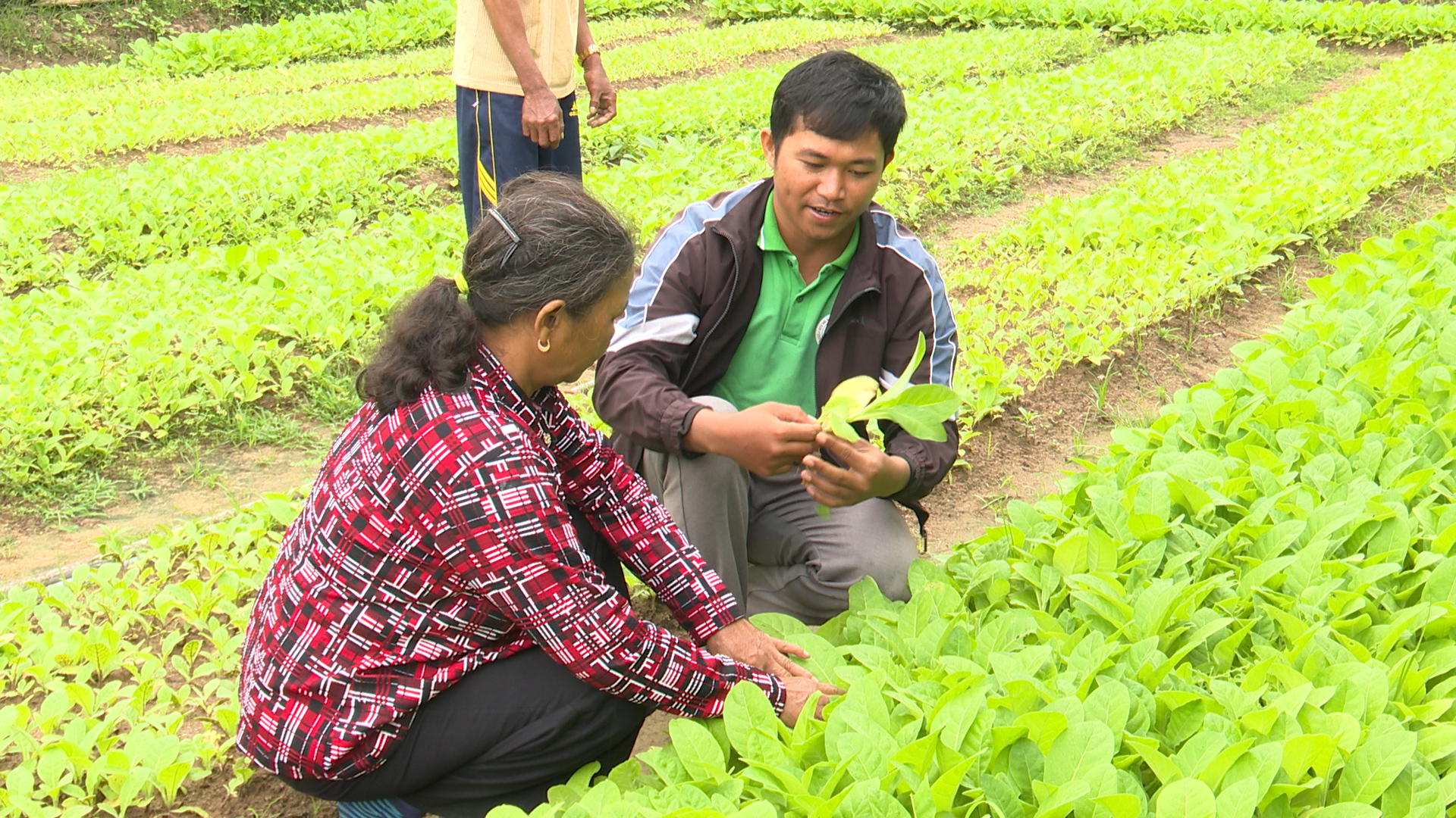 Trăn trở của cử tri về việc l&agrave;m cho giới trẻ tại gia Lai năm 2026 - Ảnh 3.