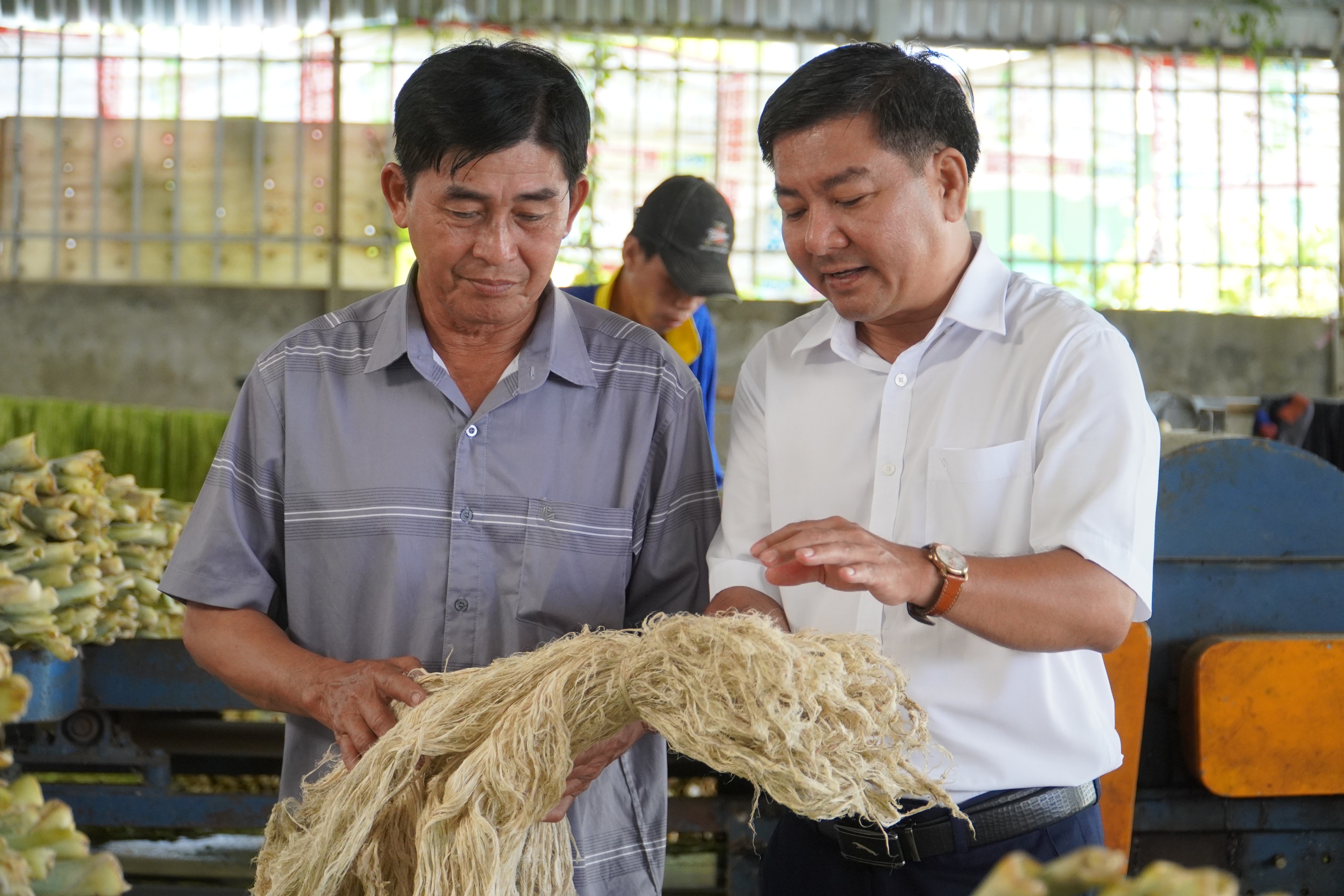 'Đổi đời' cho lá khóm, nông dân miền Tây có thêm thu nhập- Ảnh 6.