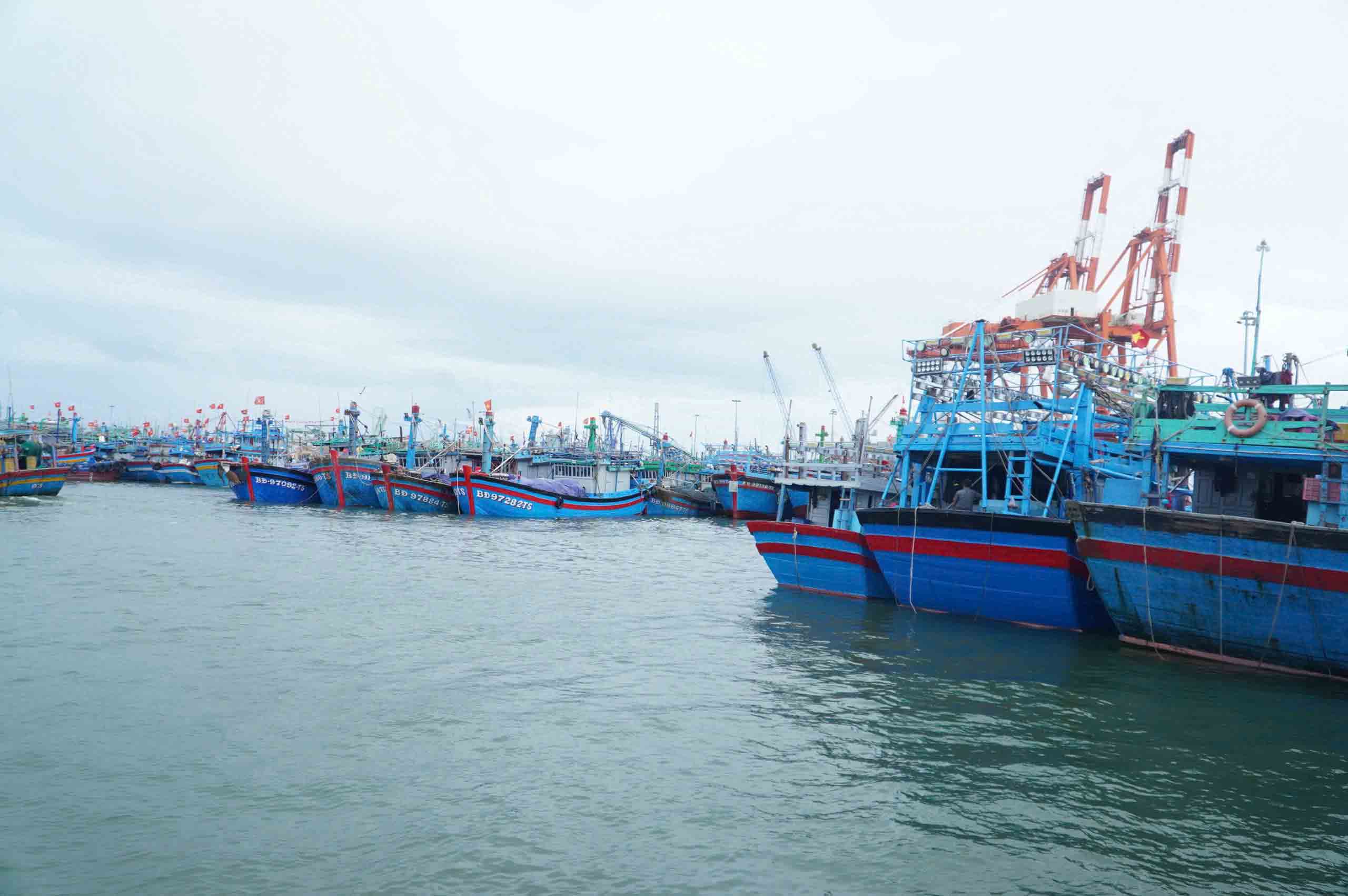 Ngư dân nỗ lực vượt khó - Ảnh 3.