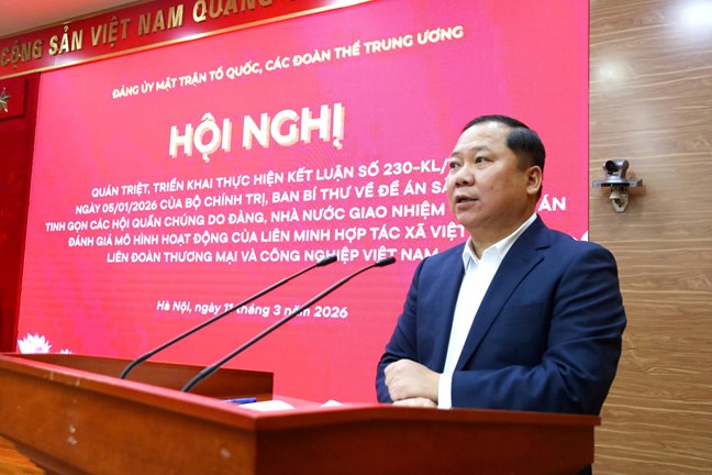 Tiếp tục r&agrave; so&aacute;t, tinh gọn tổ chức bộ m&aacute;y b&ecirc;n trong của c&aacute;c hội- Ảnh 1.