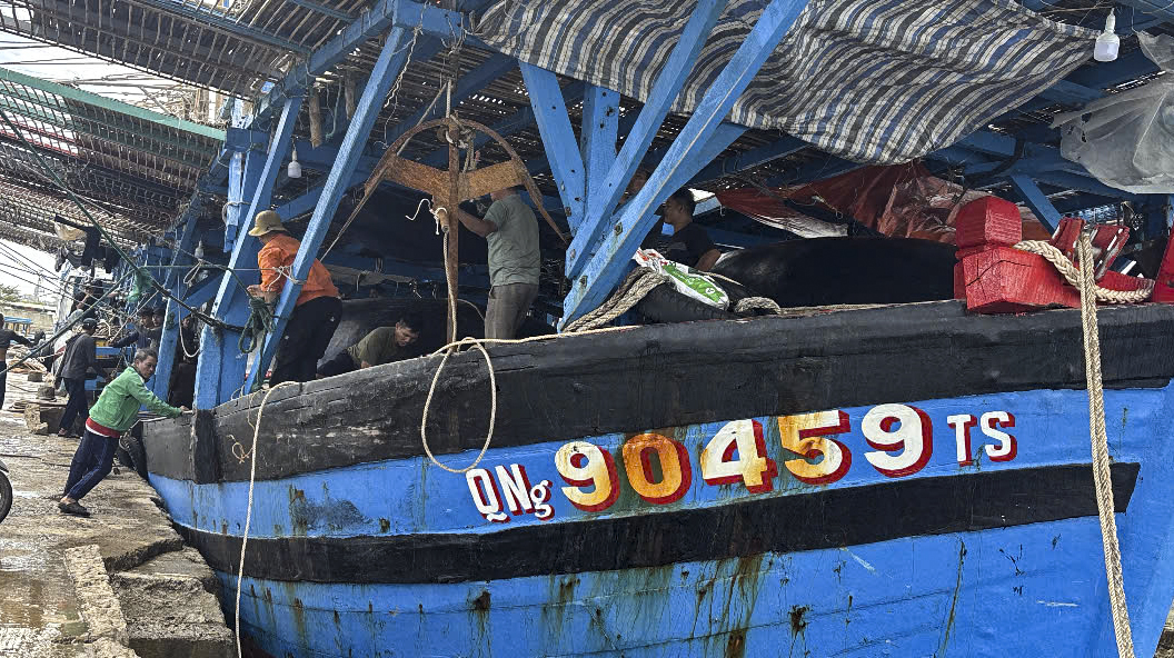36 ngư dân Quảng Ngãi được cứu vào bờ an toàn- Ảnh 2.