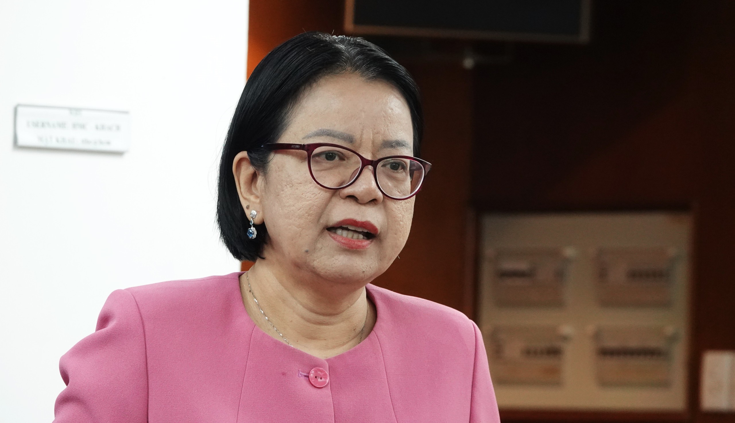 TP.HCM dùng dữ liệu dân cư để chọn nơi xây trường học - Ảnh 1.