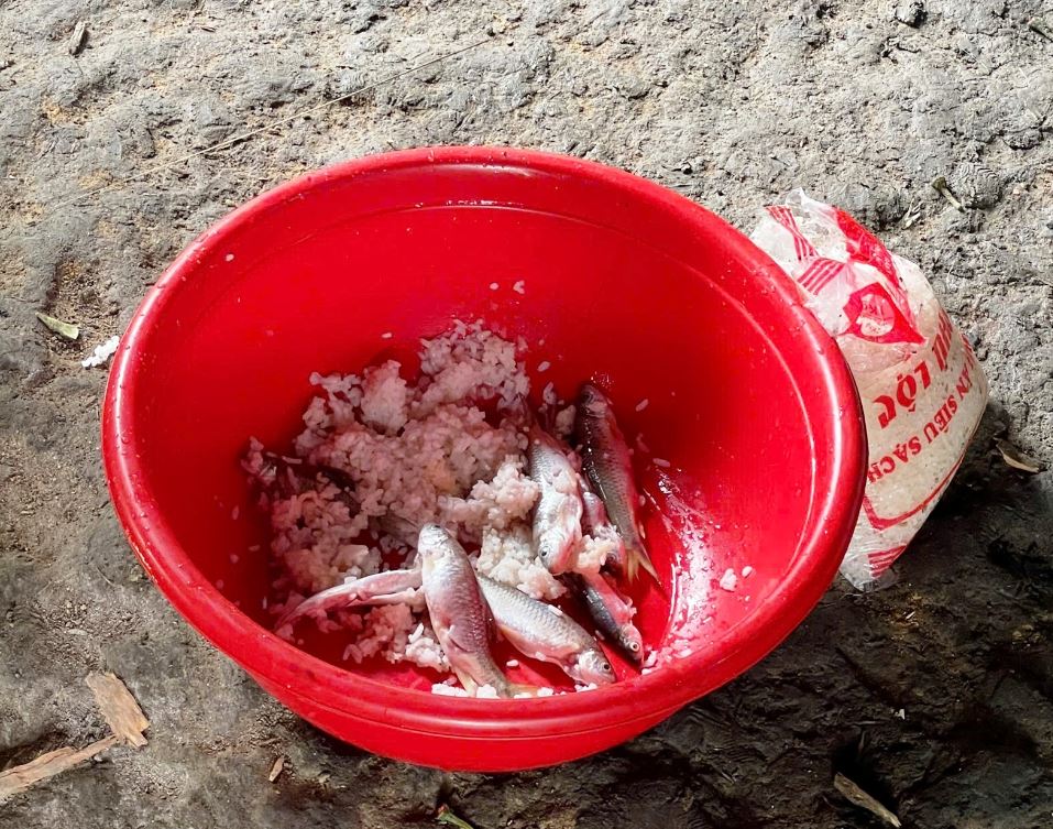 Vì sao thuốc giải botulinum lại có giá cao? - Ảnh 1.