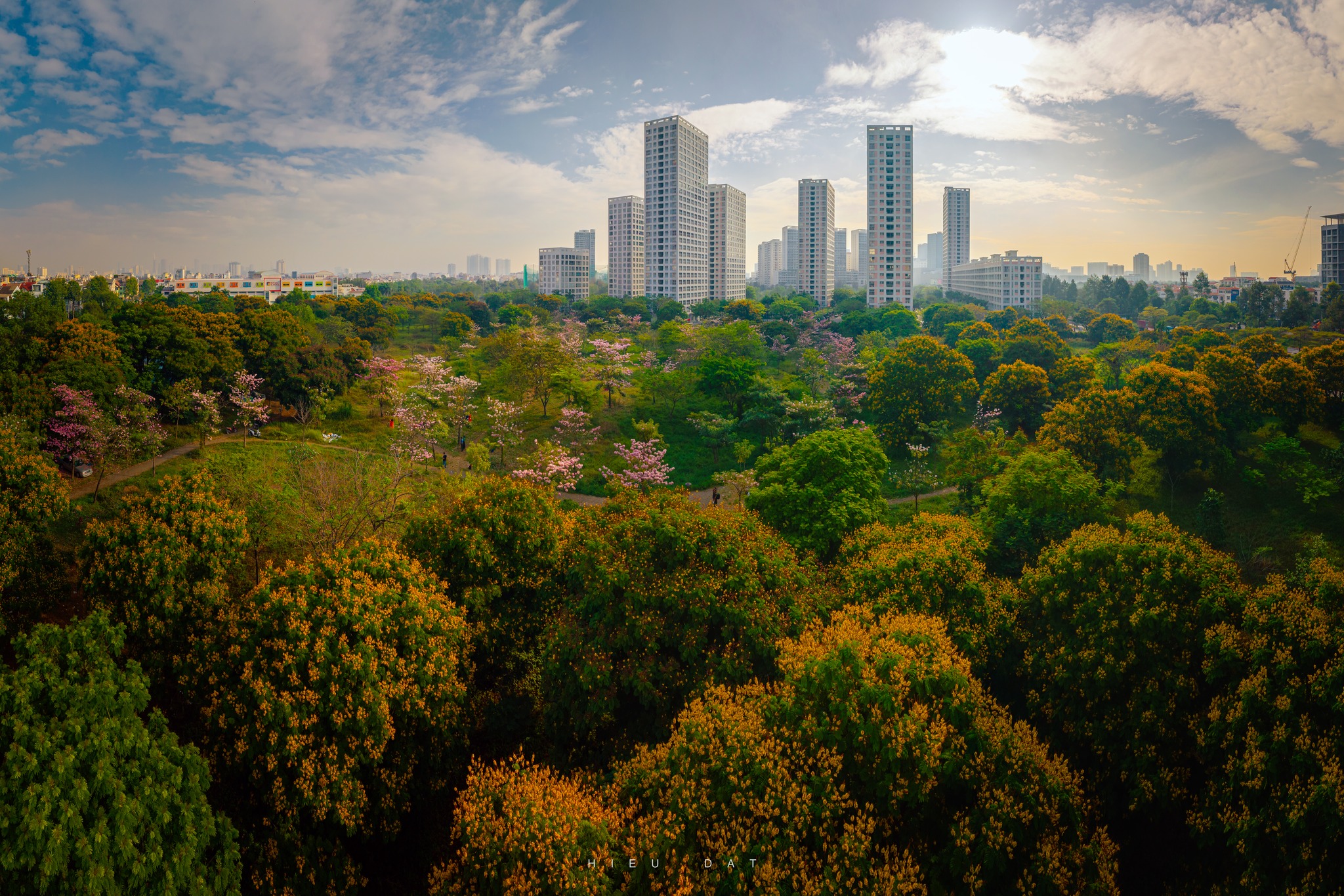 Hoa điệp v&agrave;ng, k&egrave;n hồng thi nhau khoe sắc ở 'khu nh&agrave; gi&agrave;u' Ph&uacute; Mỹ Hưng TP.HCM - Ảnh 8.