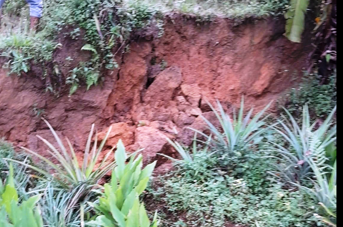 Đà Nẵng: Sườn đồi nứt toác dài 500 m đe dọa cuộc sống 60 hộ dân - Ảnh 1.