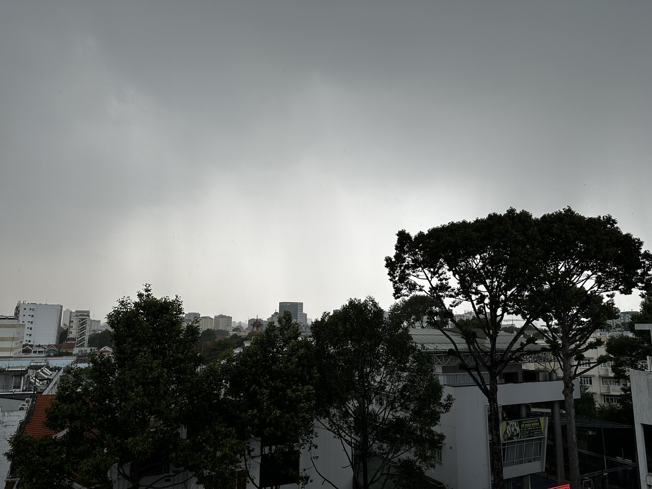 'Mưa vàng' giải nhiệt cho TP.HCM sau những ngày nắng nóng- Ảnh 1.