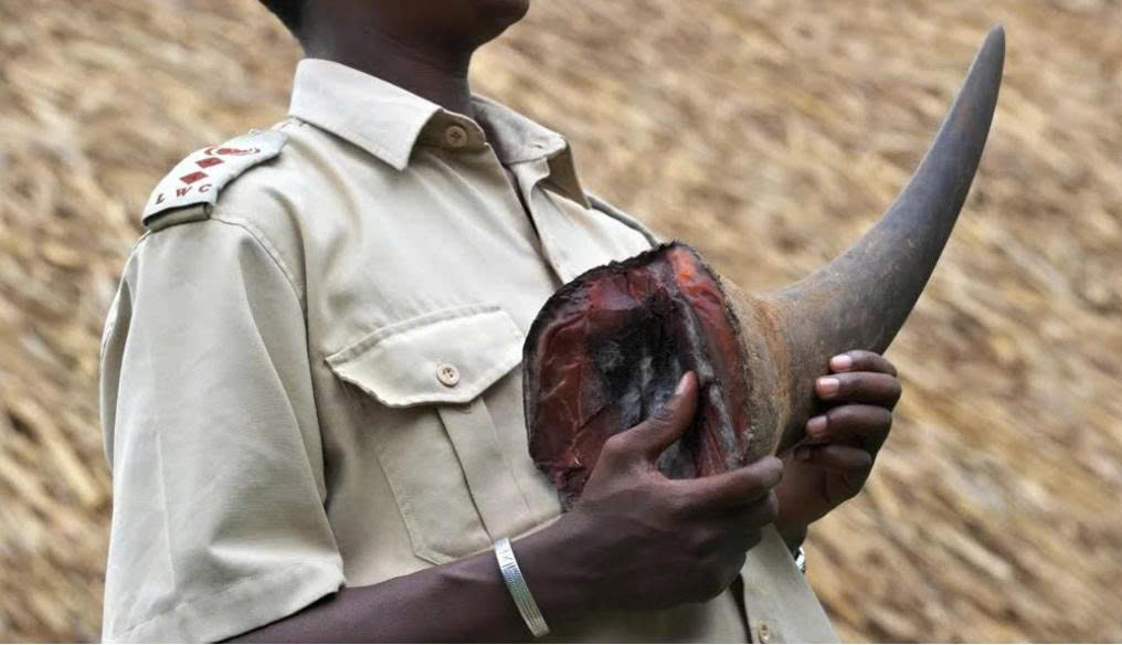 'Đại gia kim cương' Chu Đăng Khoa bị bắt tại Nam Phi- Ảnh 1. 'Đại gia kim cương' Chu Đăng Khoa bị bắt tại Nam Phi- Ảnh 1.