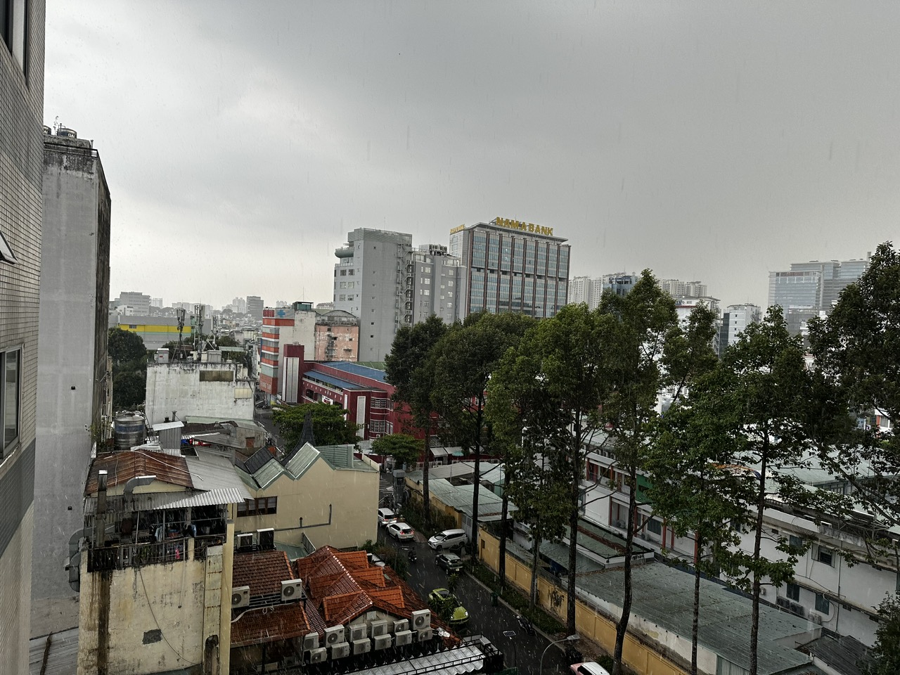 'Mưa vàng' giải nhiệt cho TP.HCM sau những ngày nắng nóng- Ảnh 2.