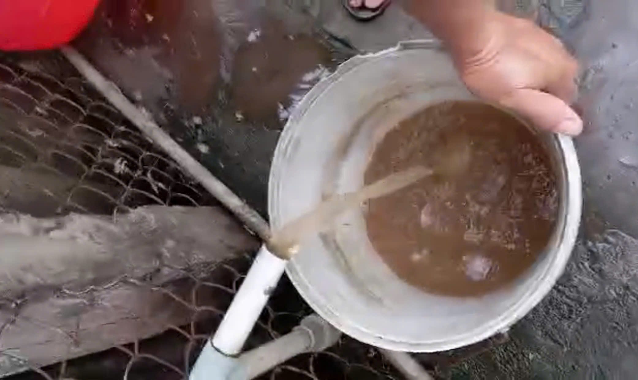 Vụ nước sinh hoạt ở Đồng Tháp đục ngầu: Địa phương báo cáo chi tiết vụ việc - Ảnh 1.