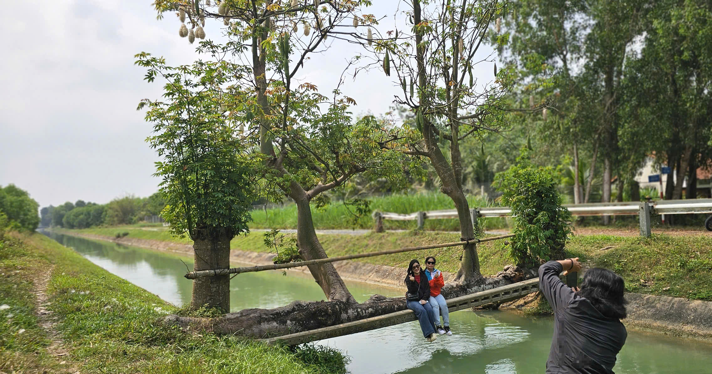 Cây gòn độc lạ nằm ngang dòng kênh ở TP.HCM thu hút hàng trăm người check-in - Ảnh 6.