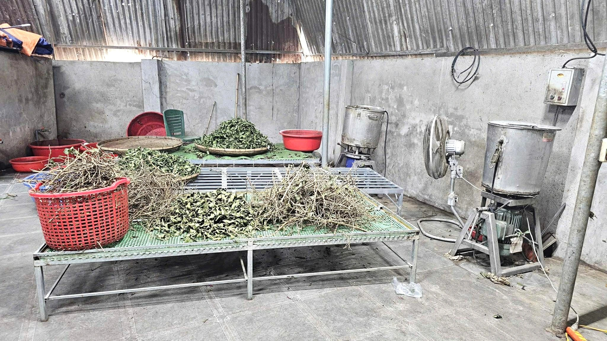 'Thảo dược đắp xương khớp Hoàng Minh Đường' không phải bài thuốc gia truyền - Ảnh 3.