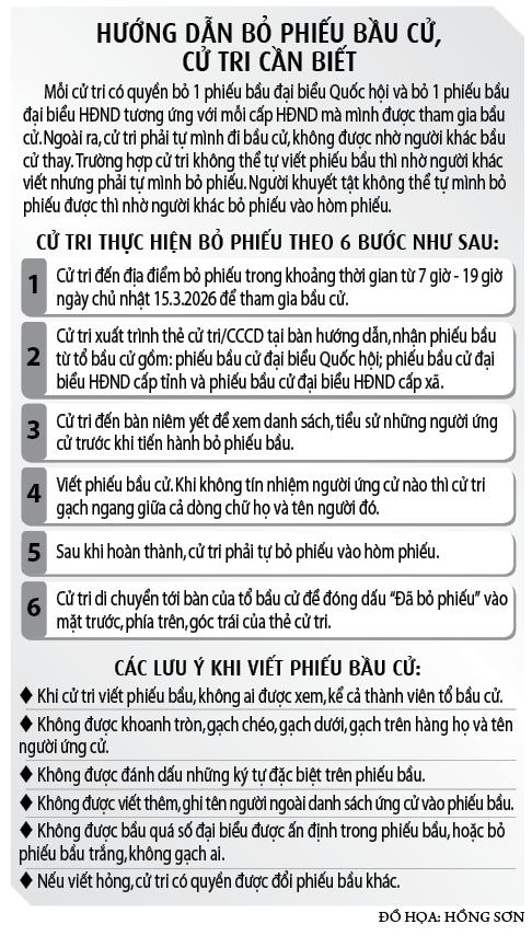 Ng&agrave;y hội bầu cử to&agrave;n d&acirc;n- Ảnh 8.