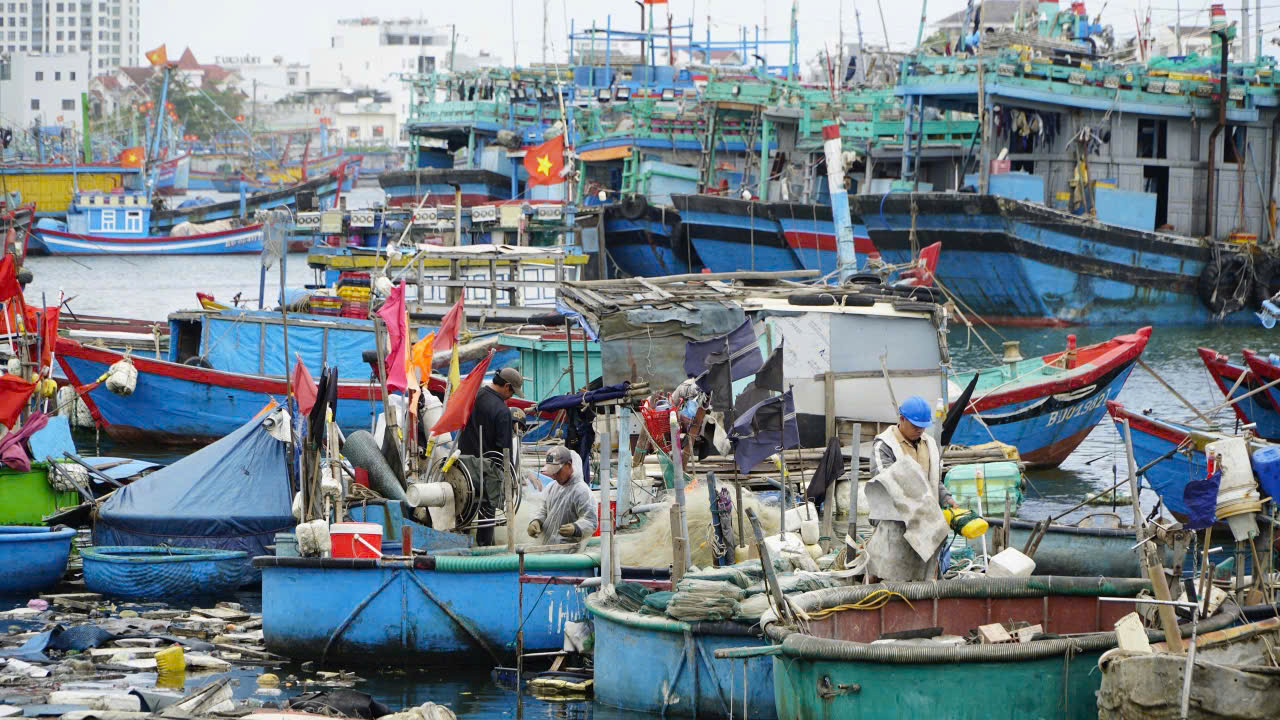 Bầu cử Quốc hội: Gia Lai vận động ngư dân dừng ra khơi tham gia đi bầu- Ảnh 1.